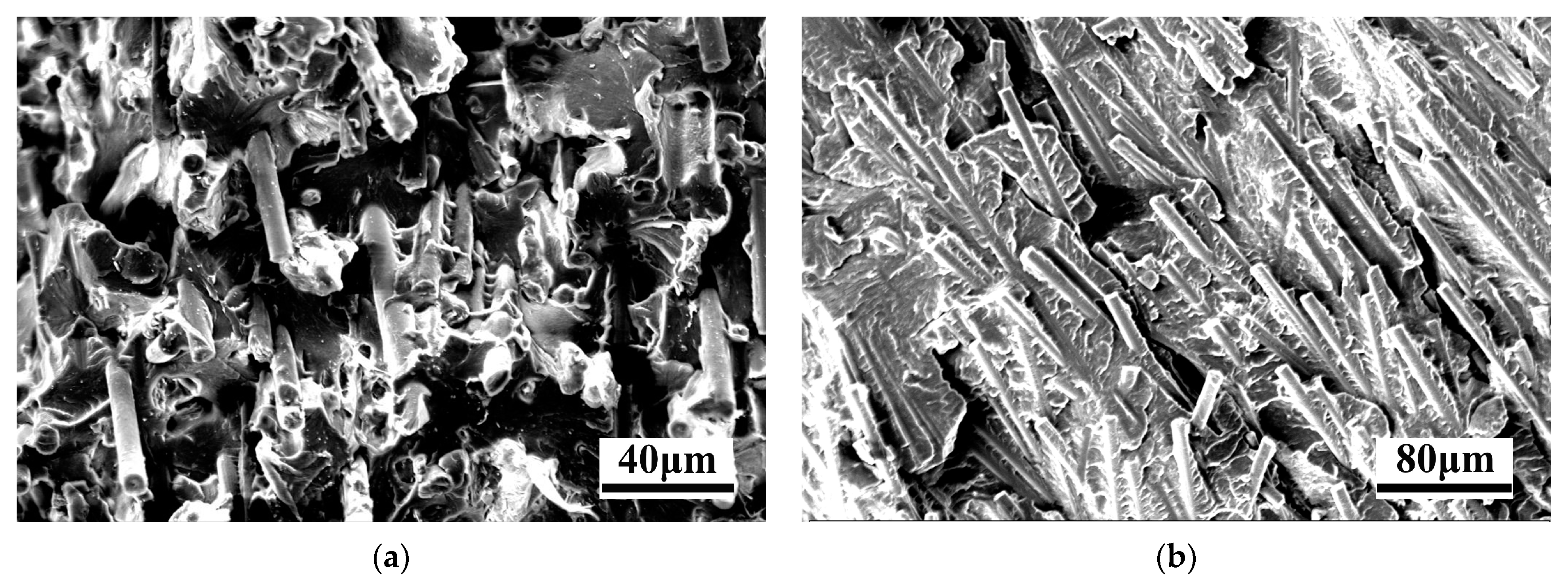 Polymers 15 02476 g009