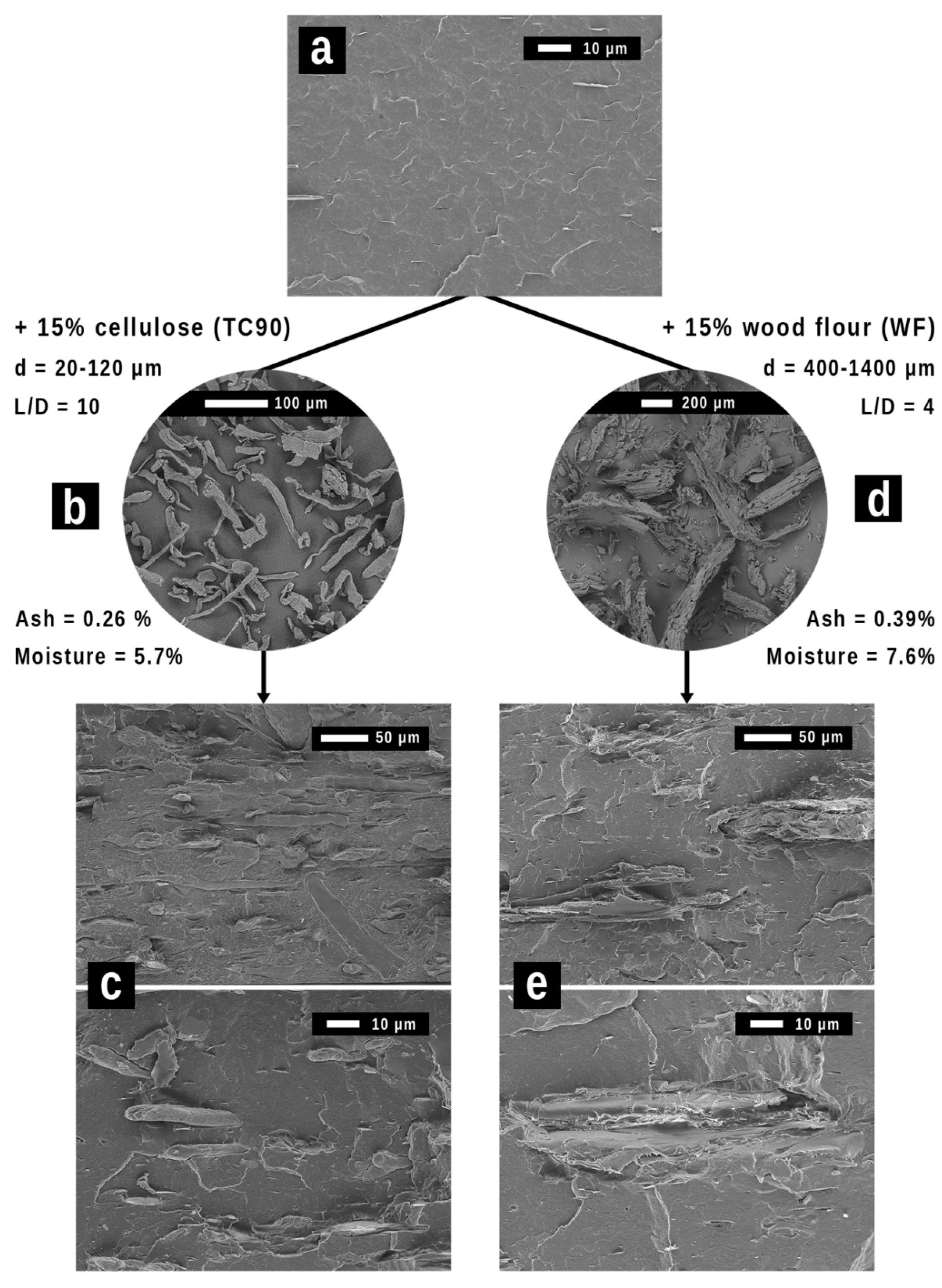 Polymers 15 02481 g001 Polymers 15 02481 g001