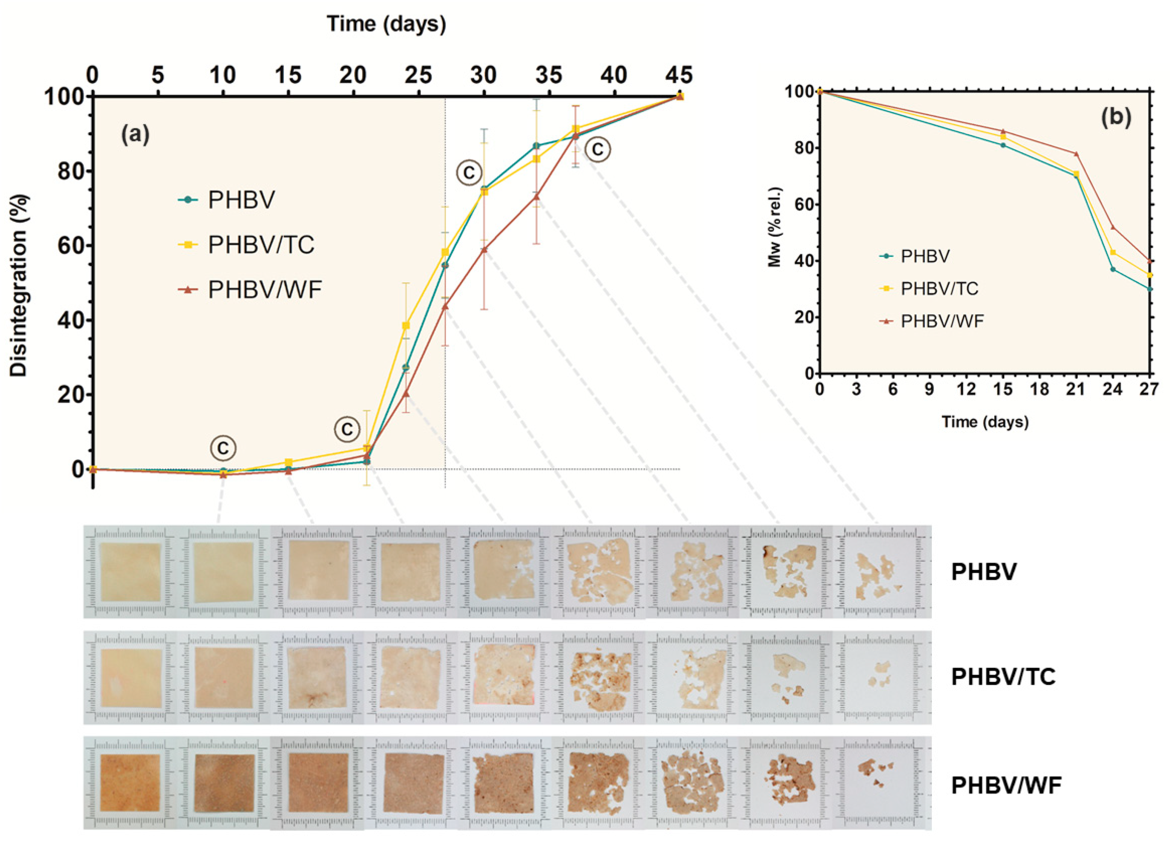 Polymers 15 02481 g003 Polymers 15 02481 g003