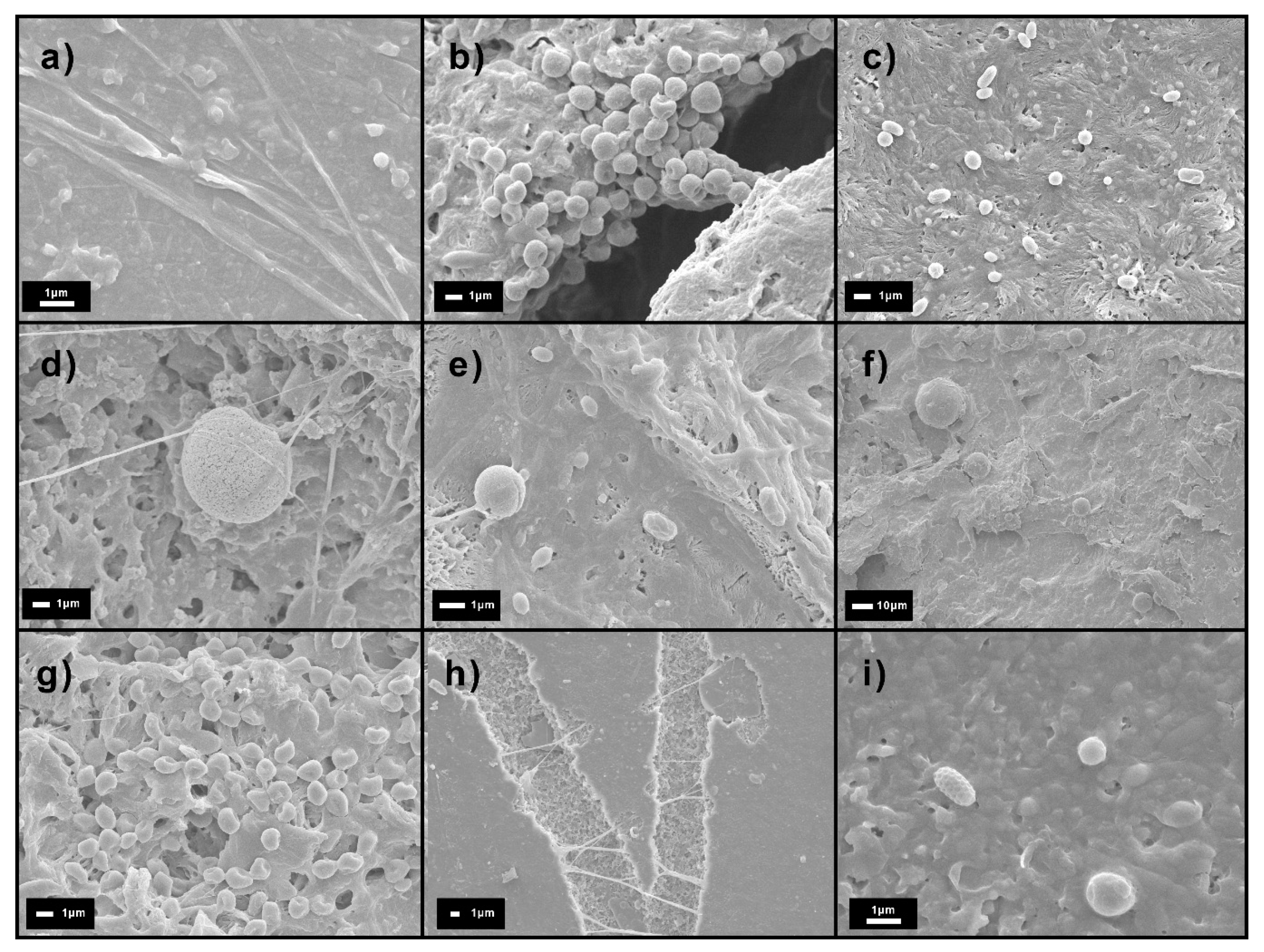 Polymers 15 02481 g007 Polymers 15 02481 g007