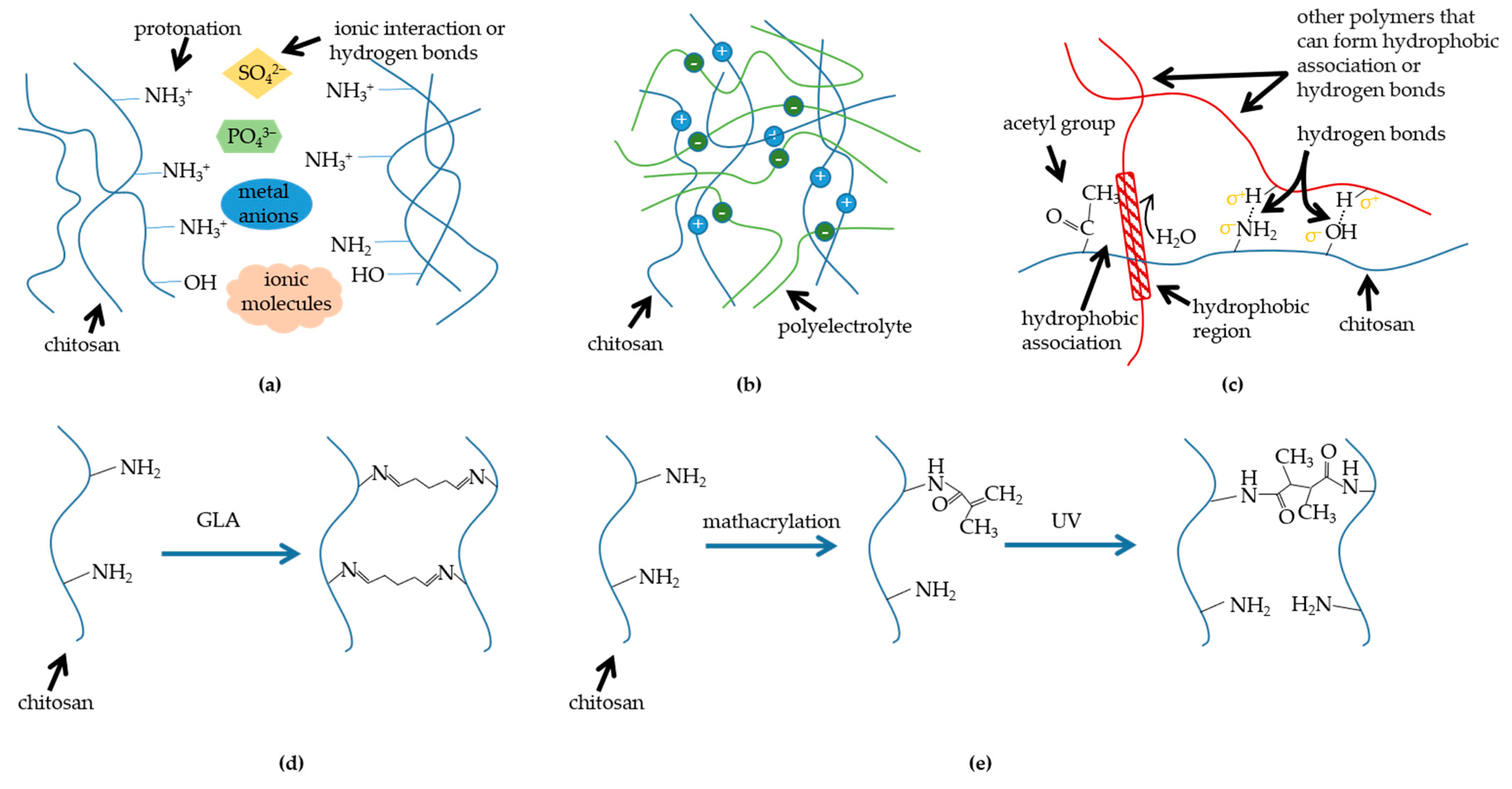 Polymers 15 02482 g002 Polymers 15 02482 g002
