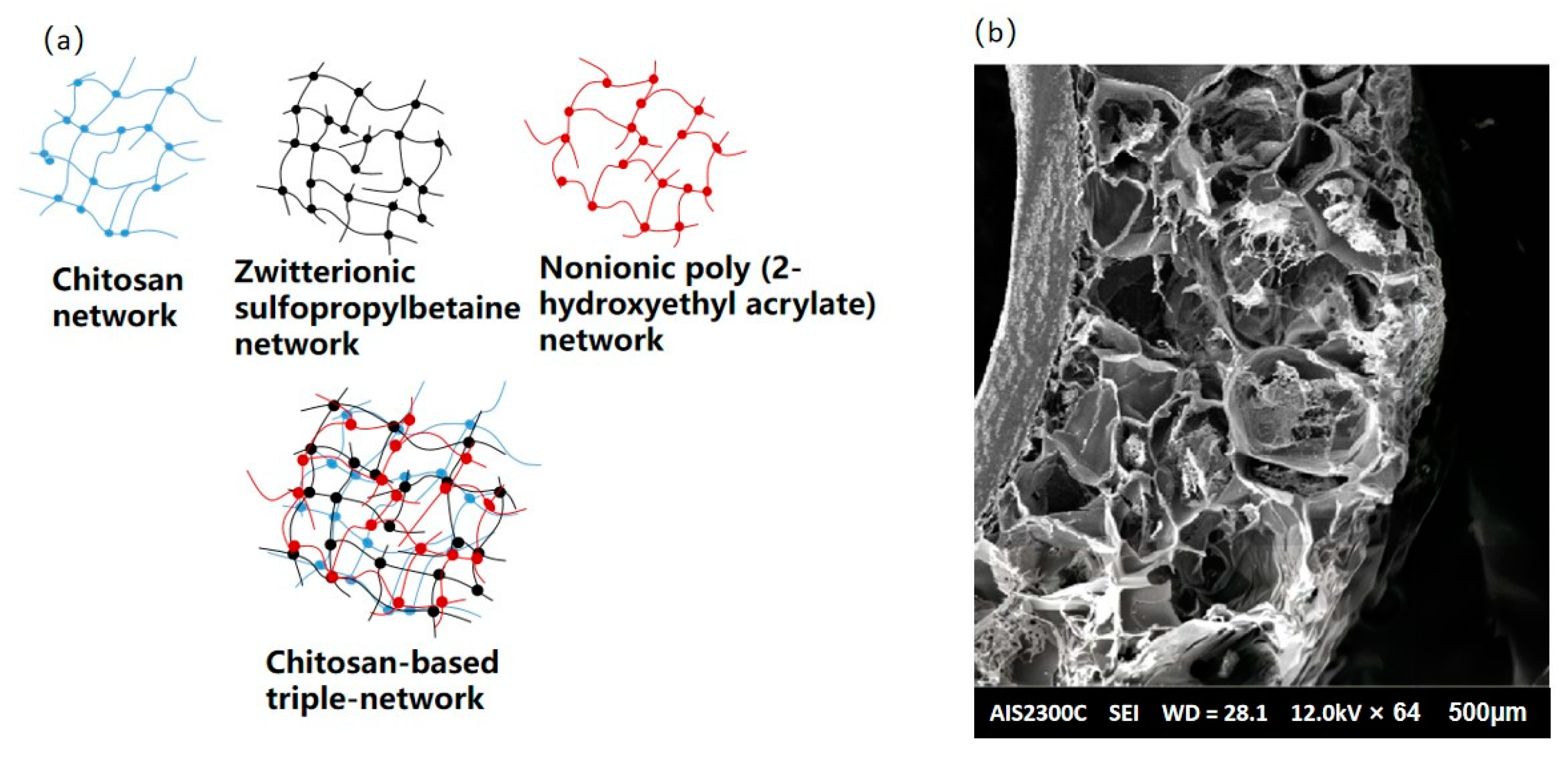 Polymers 15 02482 g003 Polymers 15 02482 g003