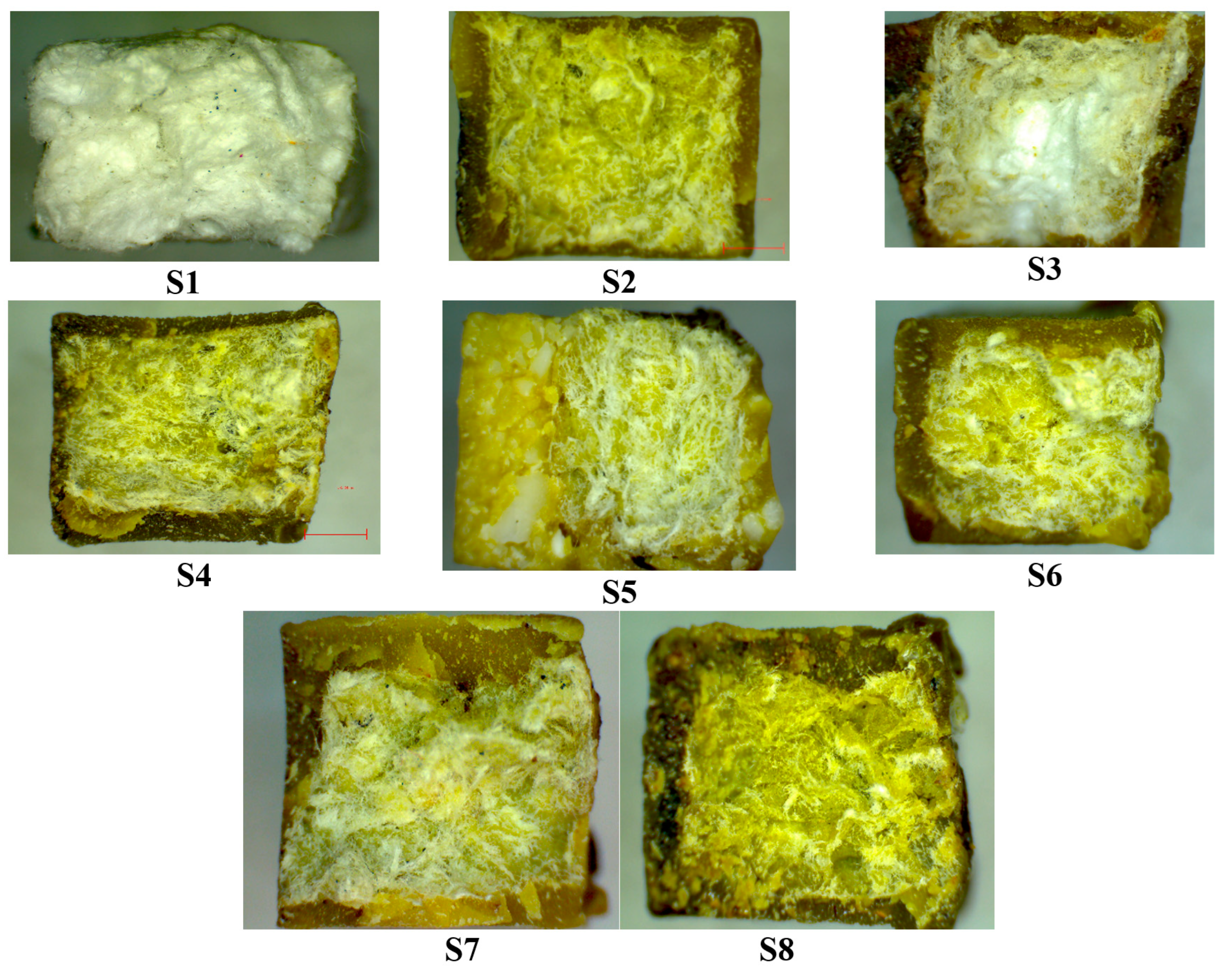 Polymers 15 02487 g008 Polymers 15 02487 g008