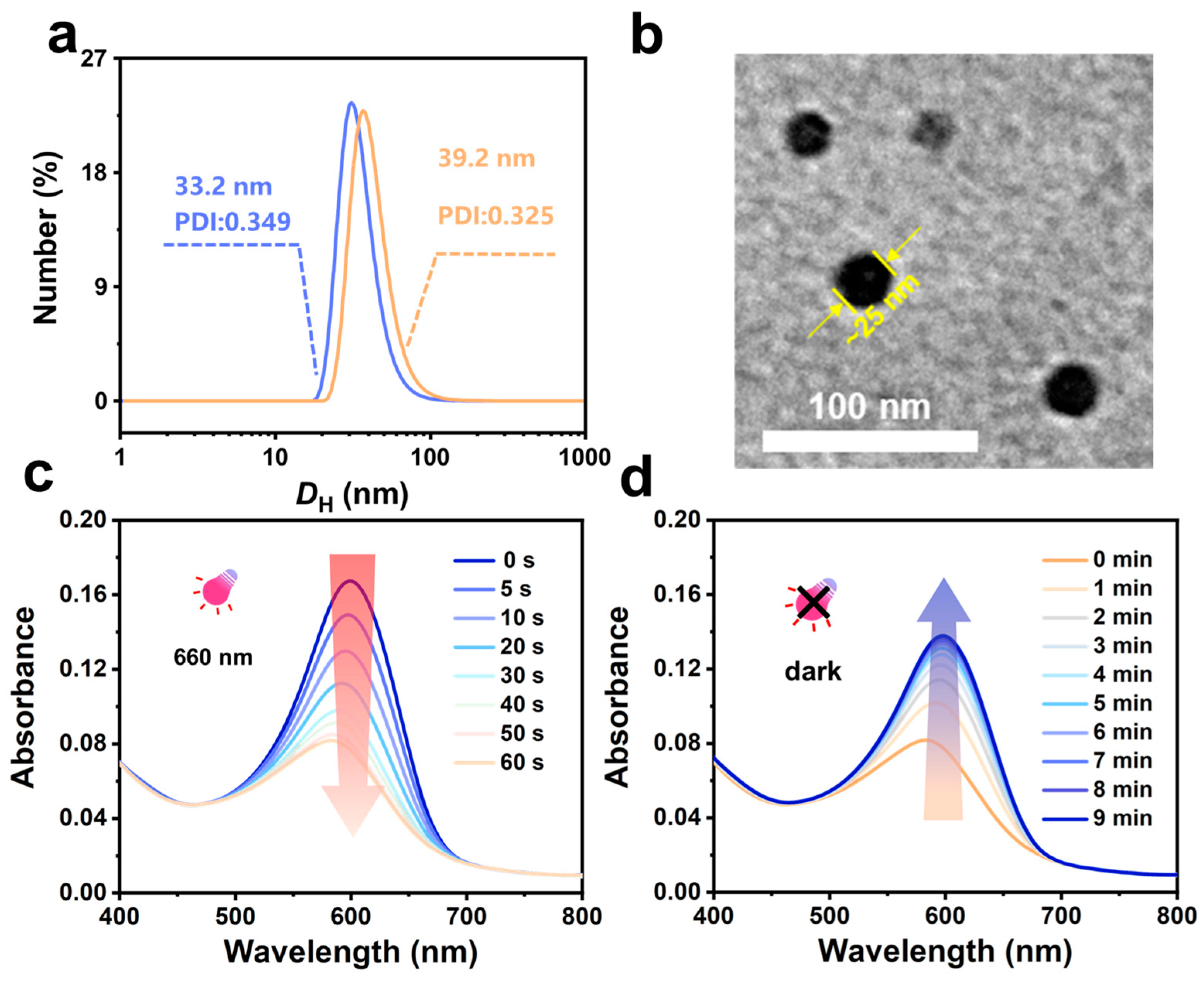 Polymers 15 02489 g006