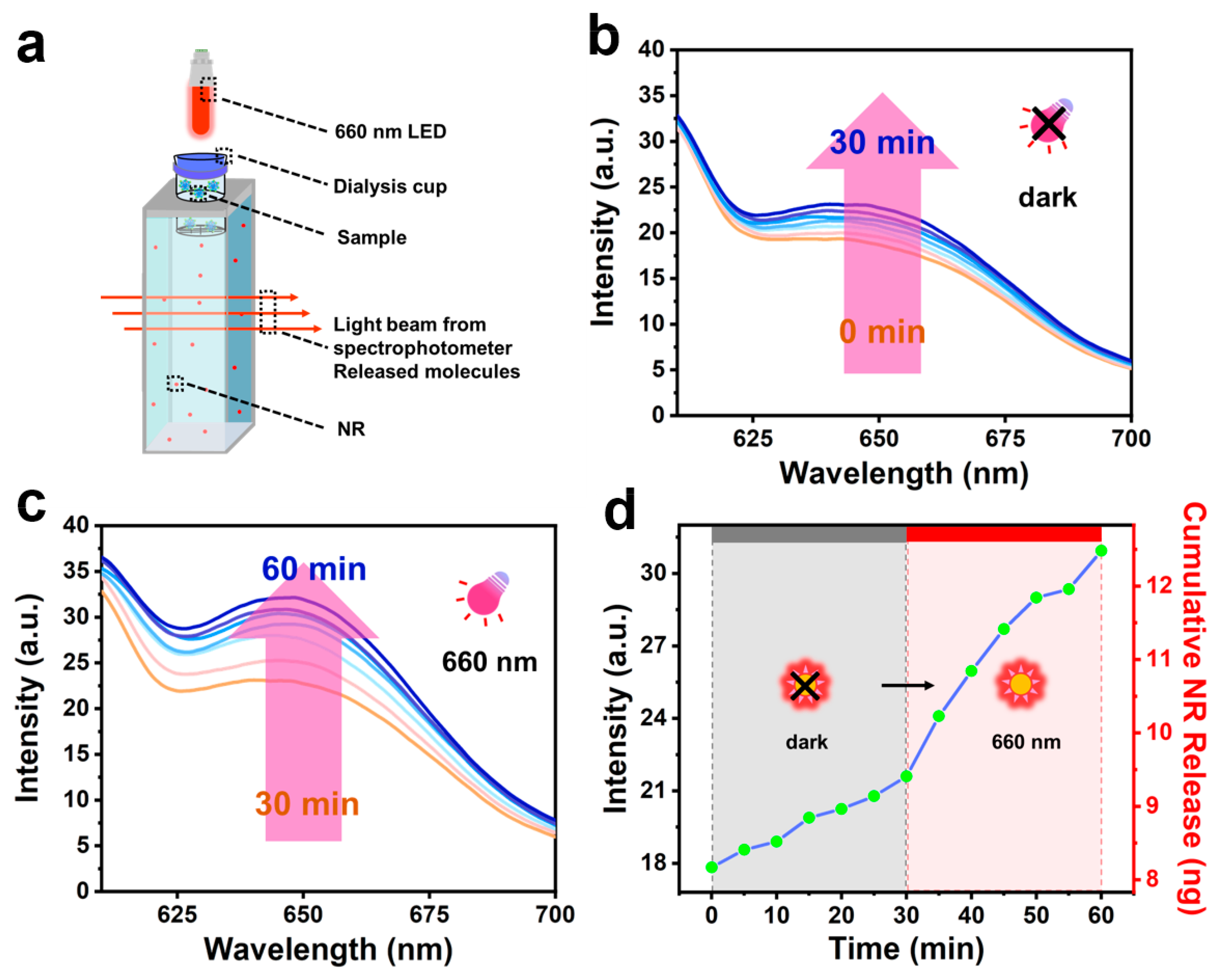 Polymers 15 02489 g007