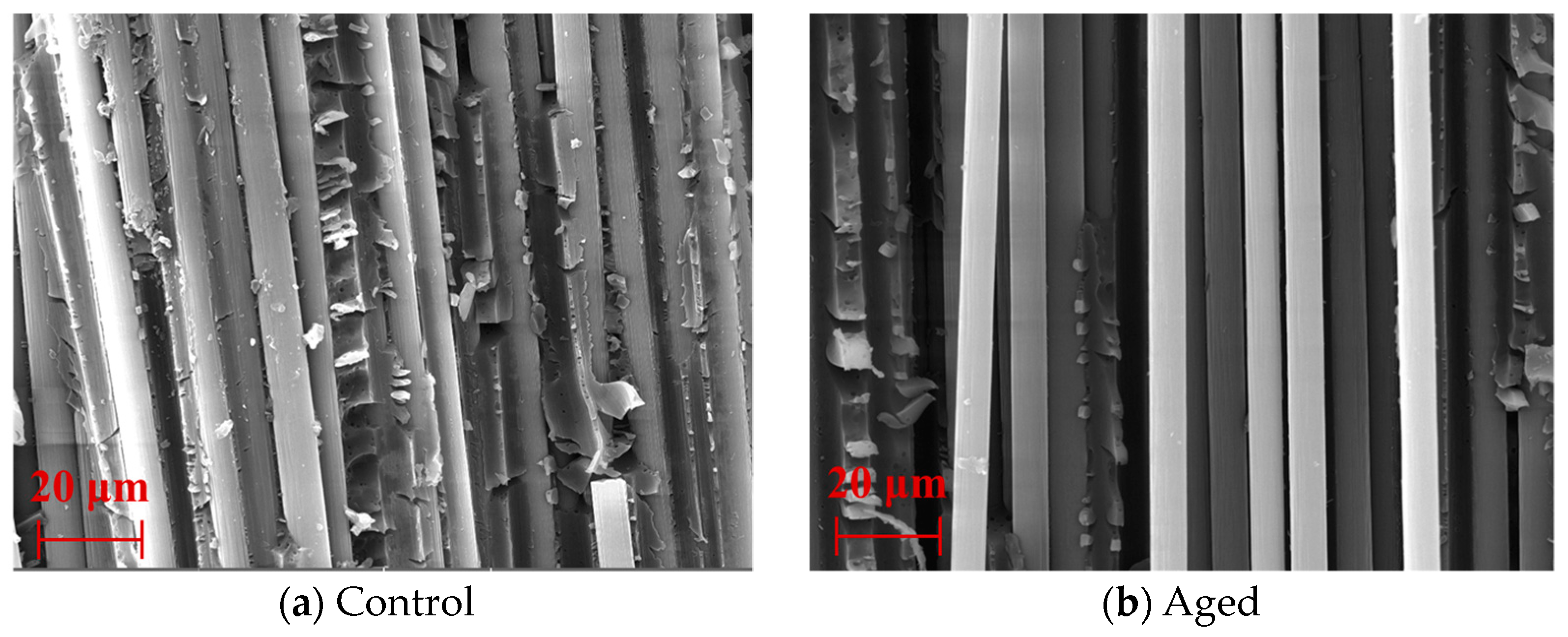 Polymers 15 02490 g015