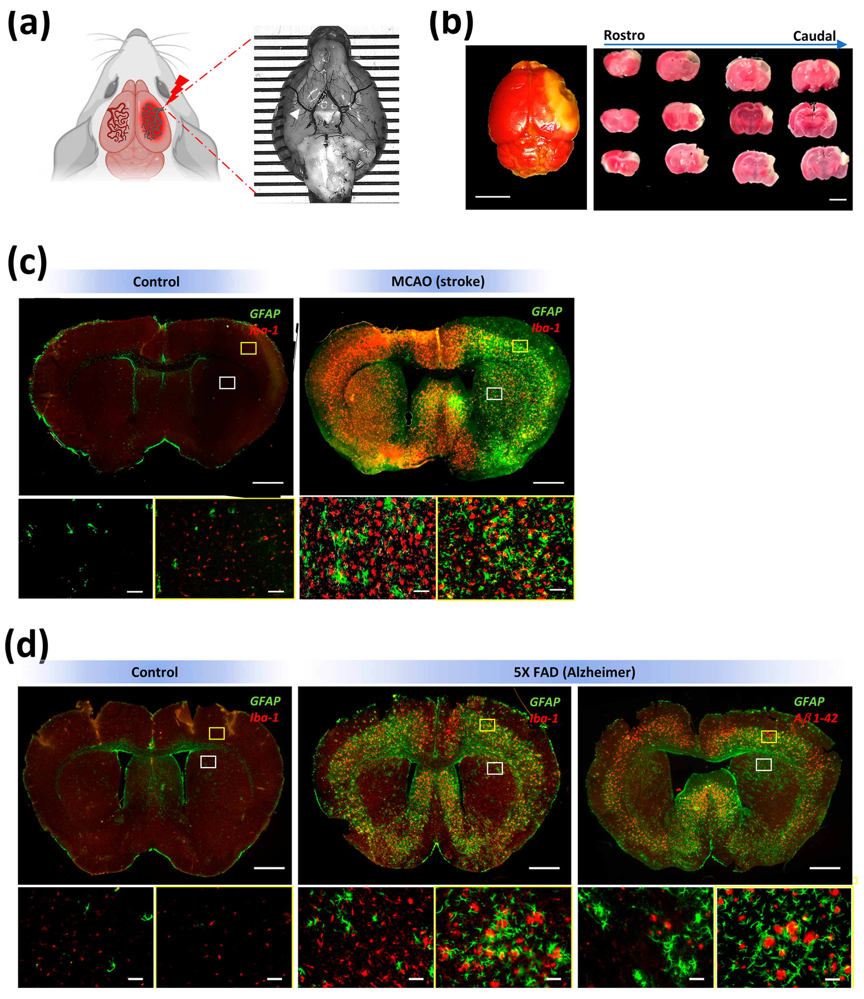 Polymers 15 02491 g005 Polymers 15 02491 g005