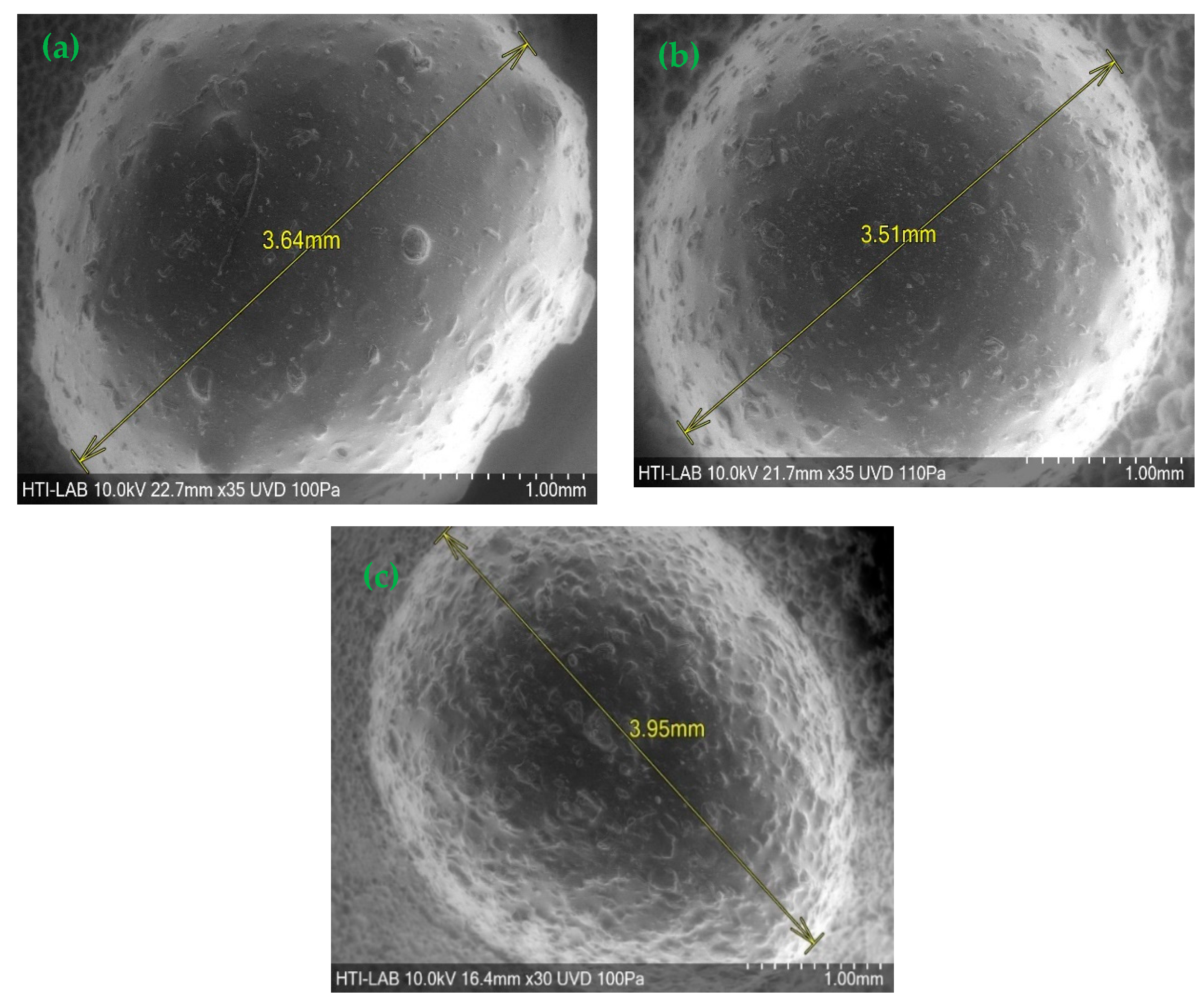 Polymers 15 02494 g001