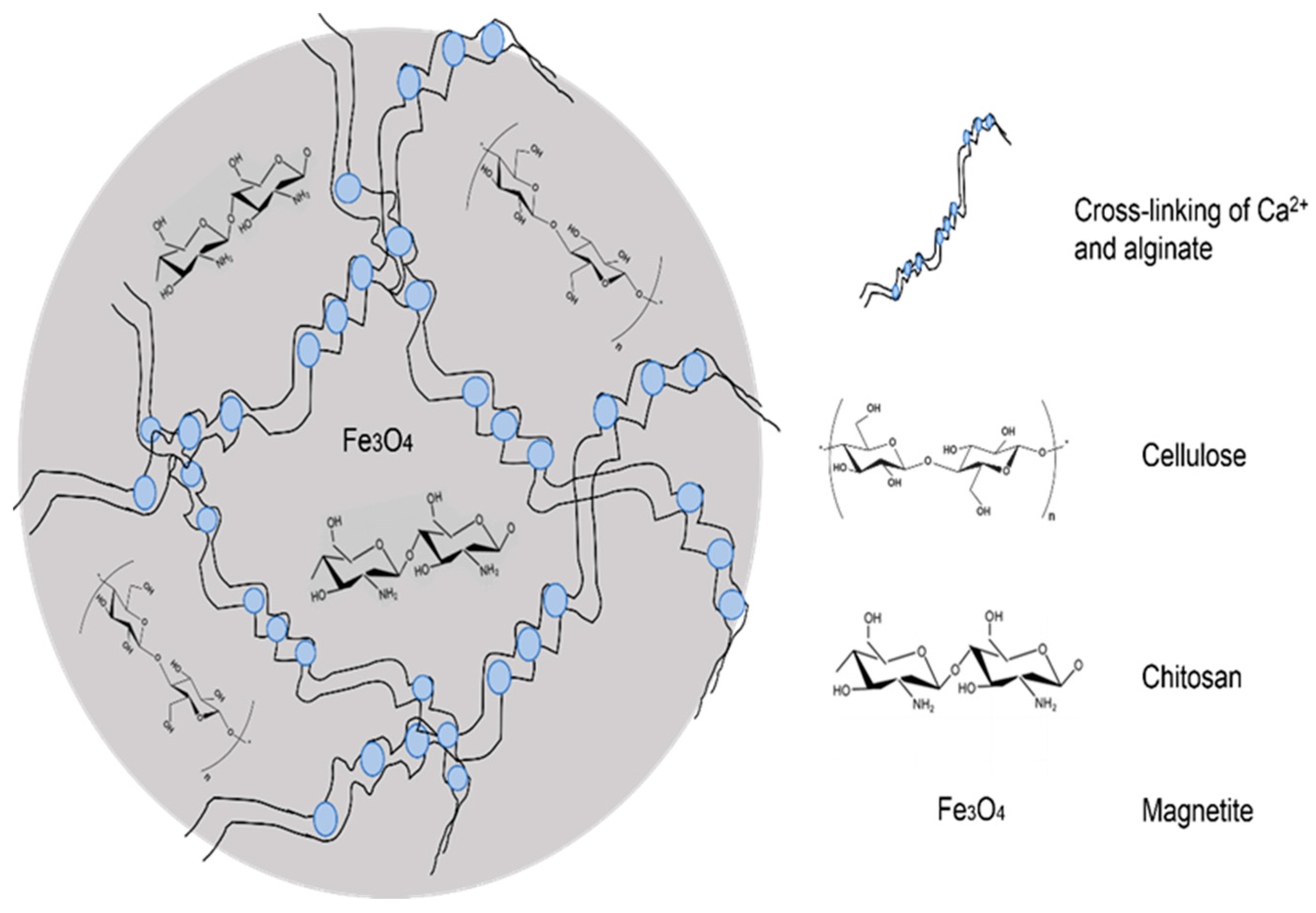 Polymers 15 02494 g004