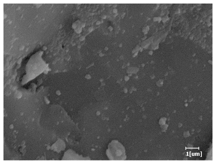 Polymers 15 02496 i001