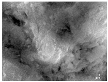 Polymers 15 02496 i003