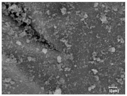 Polymers 15 02496 i012