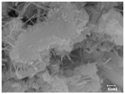 Polymers 15 02496 i020