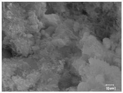 Polymers 15 02496 i027