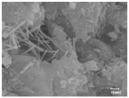 Polymers 15 02496 i028