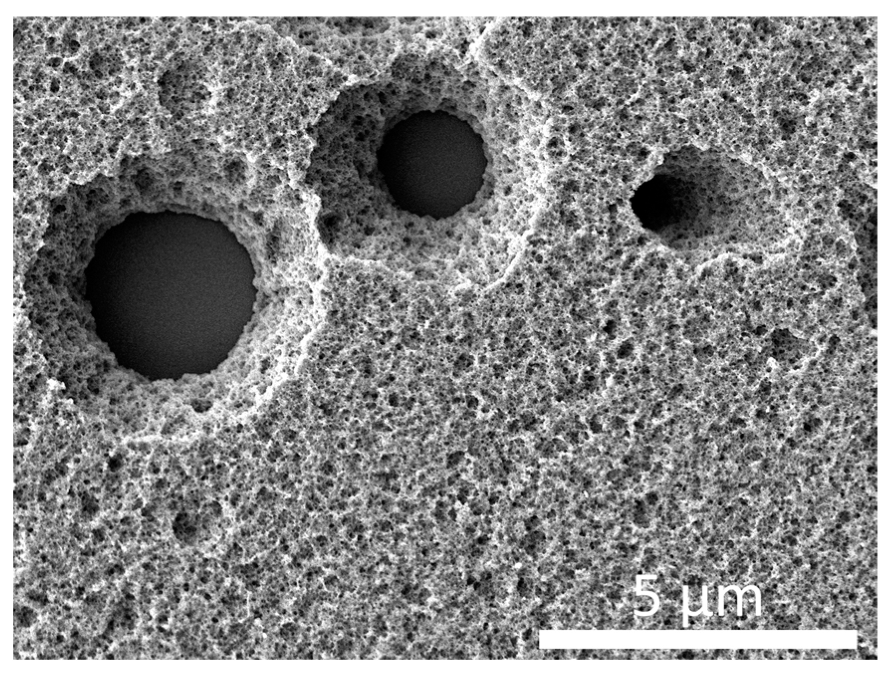 Polymers 15 02500 g002