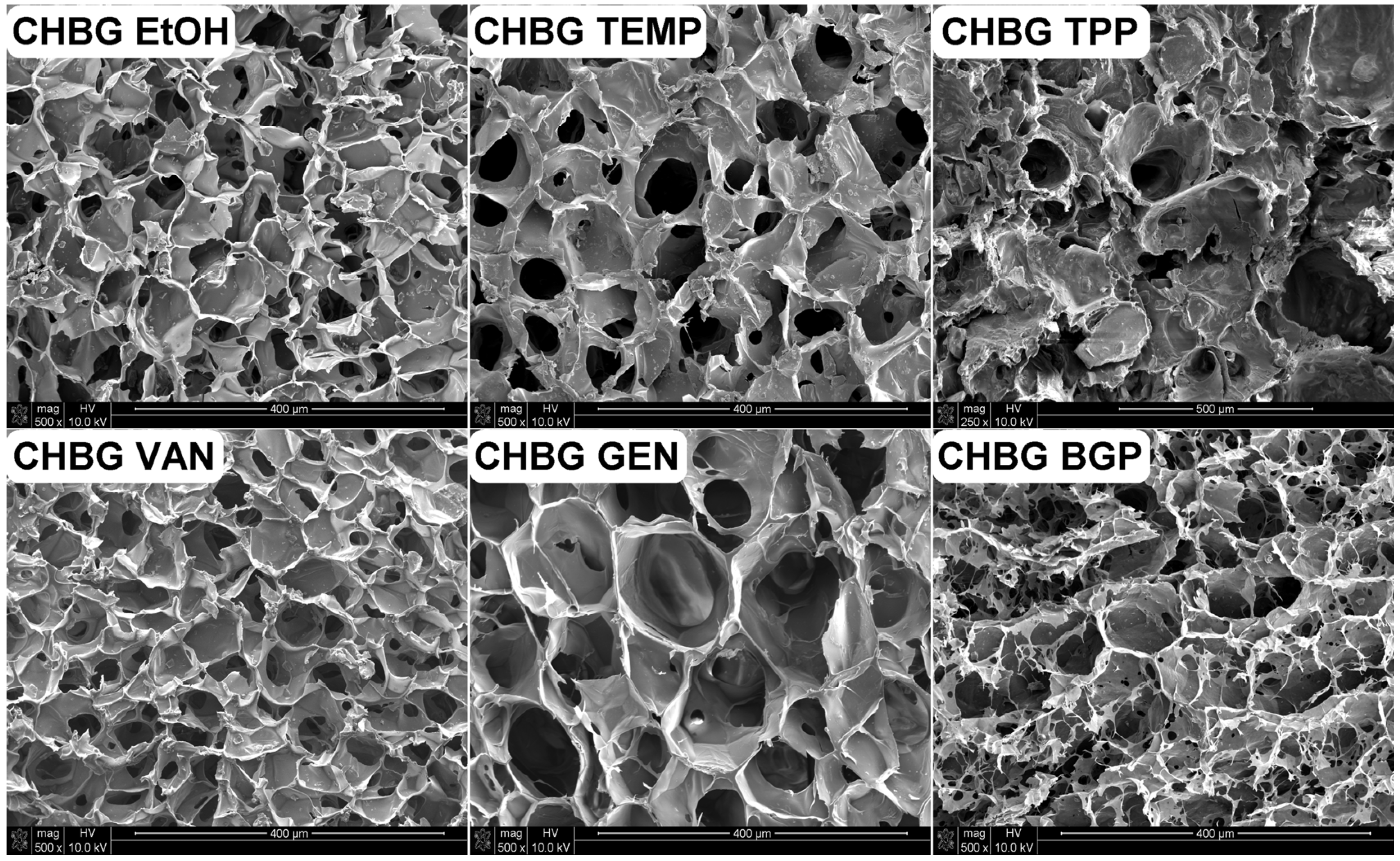 Polymers 15 02507 g005