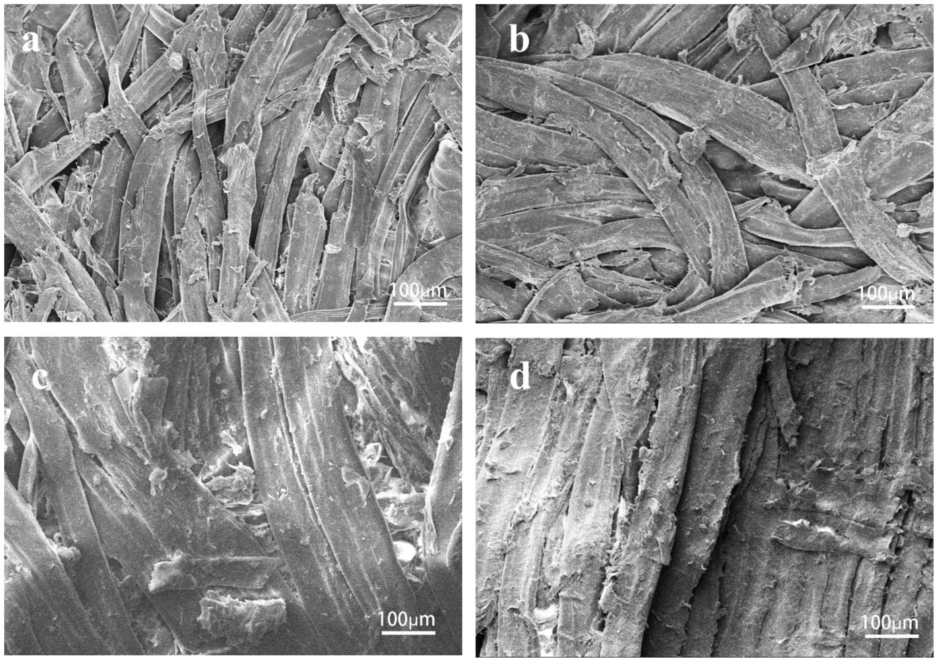 Polymers 15 02509 g002 Polymers 15 02509 g002