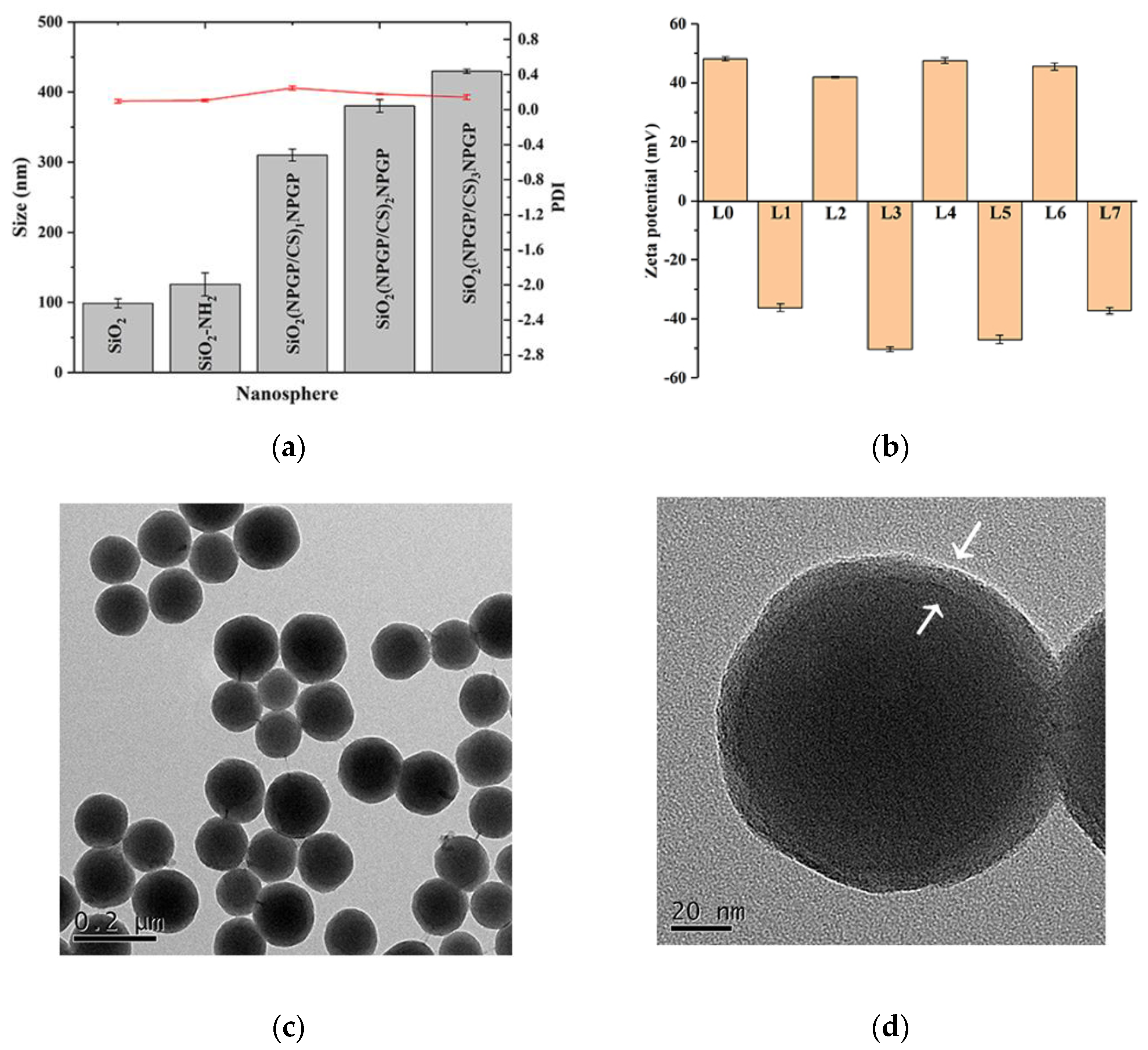 Polymers 15 02510 g003 Polymers 15 02510 g003