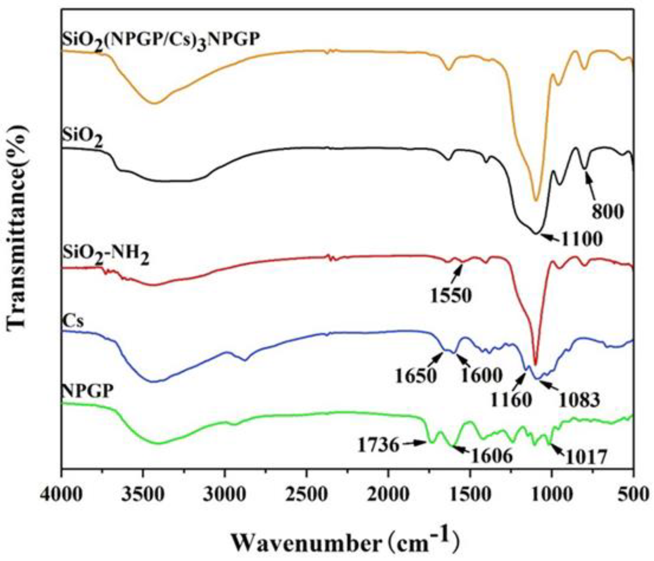 Polymers 15 02510 g004 Polymers 15 02510 g004