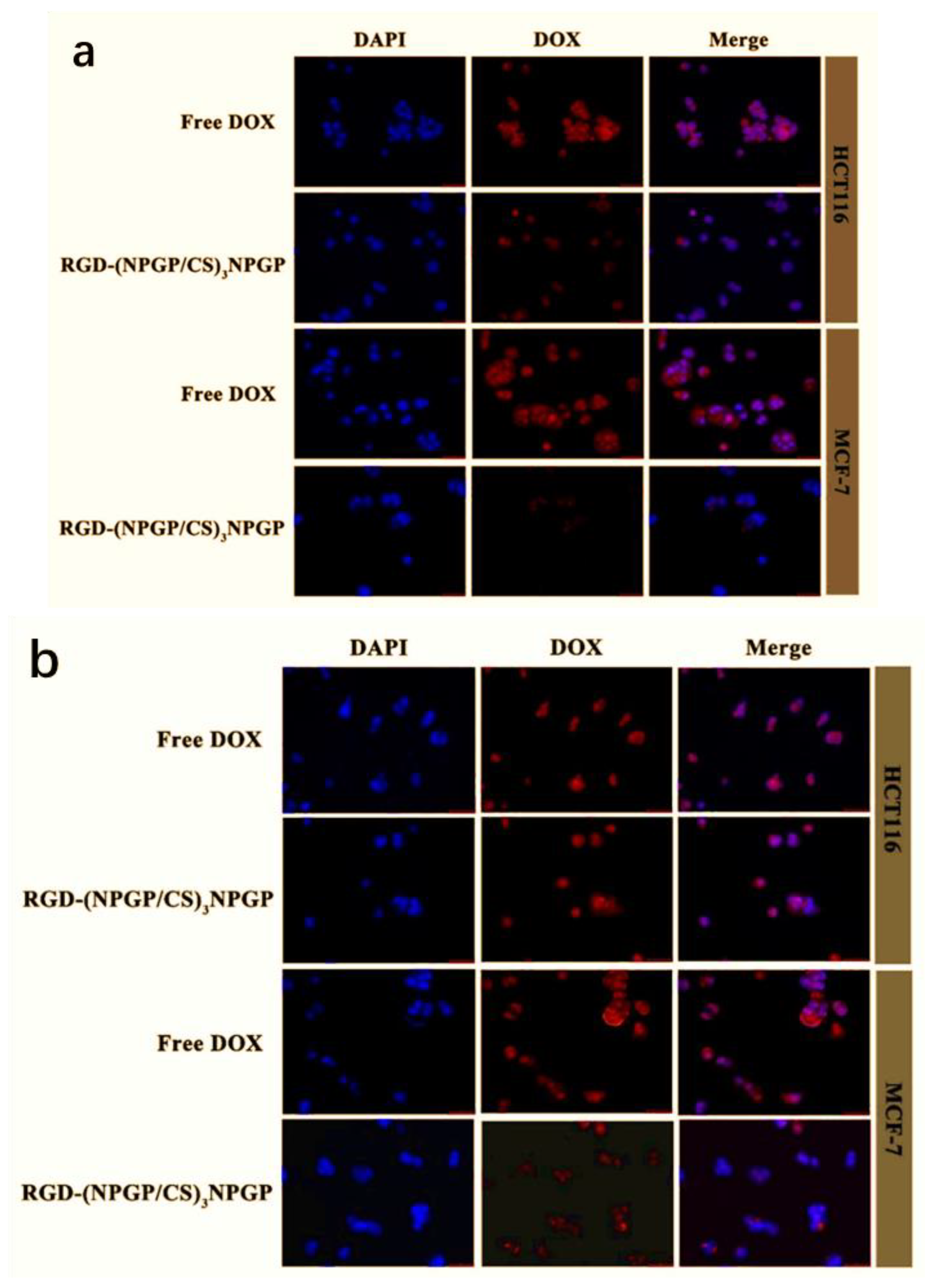 Polymers 15 02510 g012 Polymers 15 02510 g012