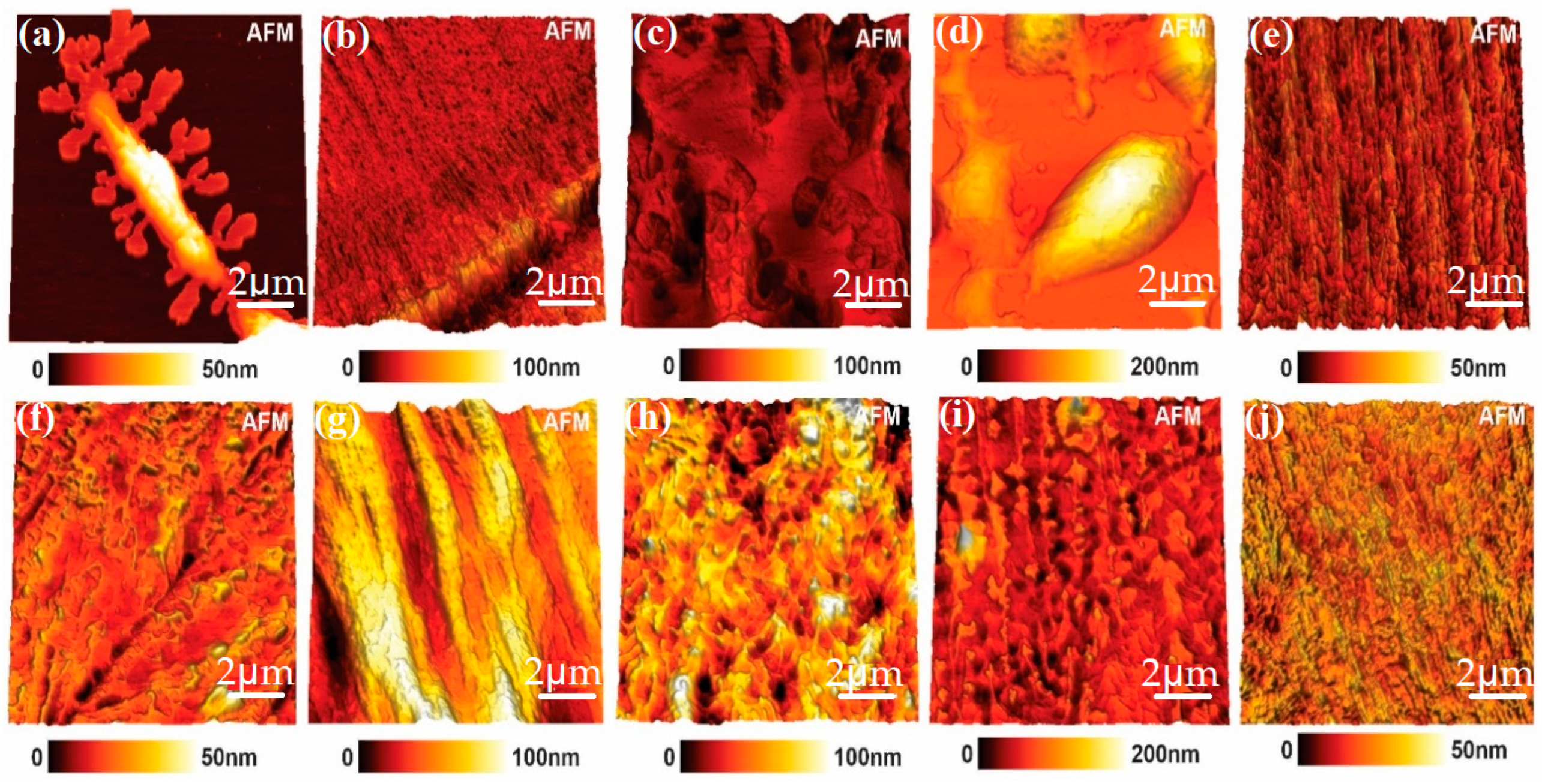 Polymers 15 02513 g002
