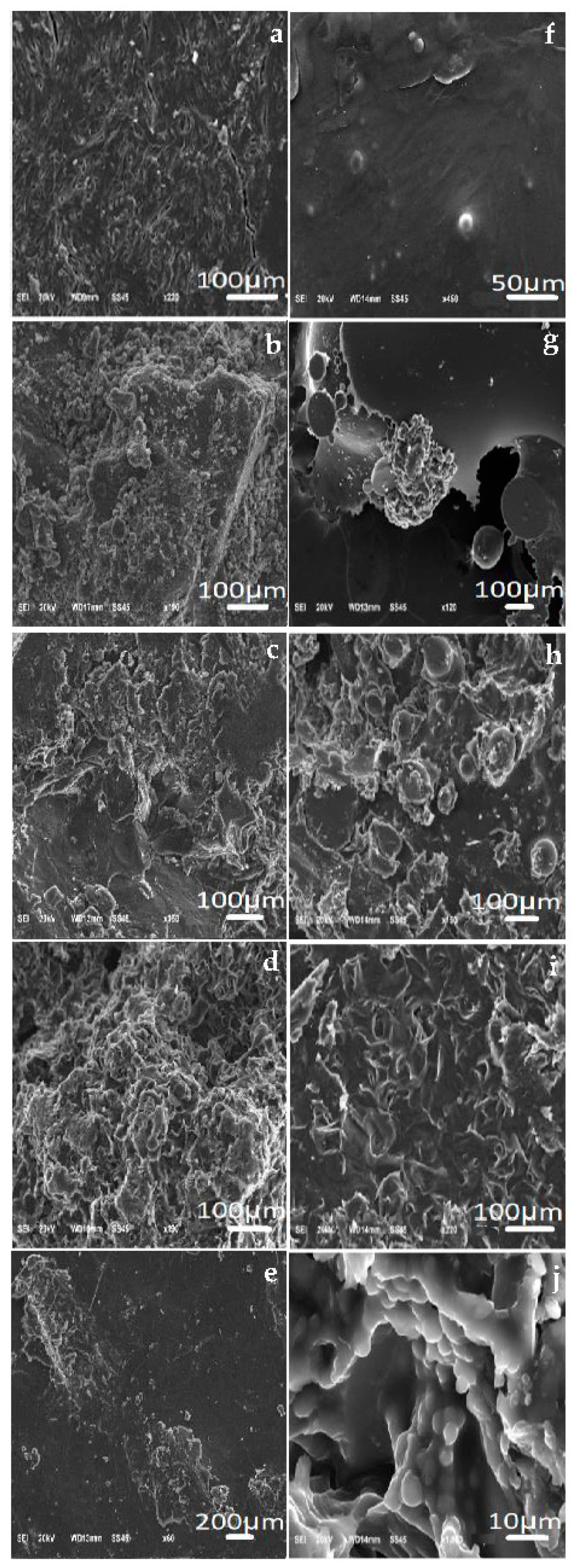 Polymers 15 02513 g003