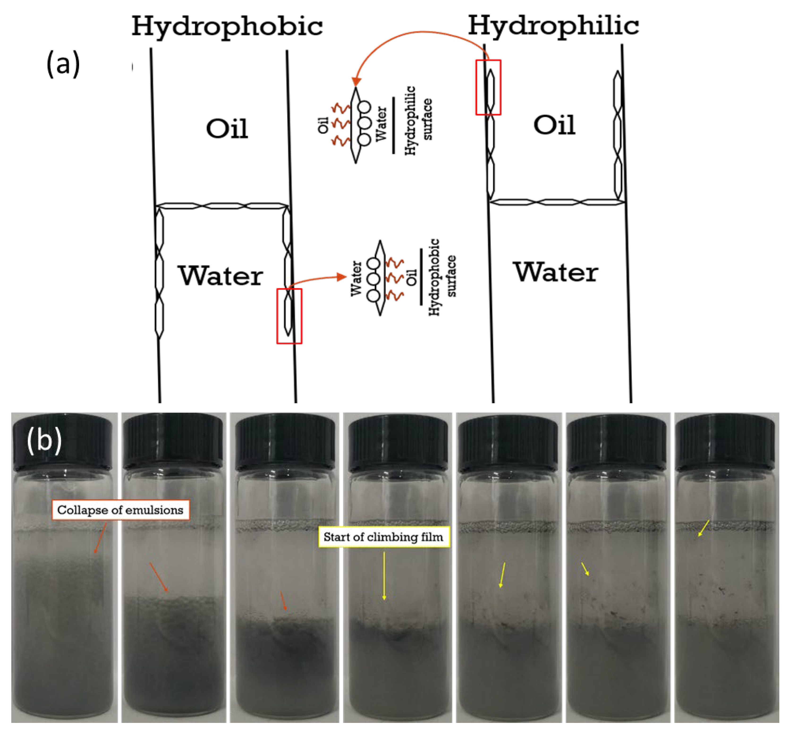 Polymers 15 02515 g009 Polymers 15 02515 g009