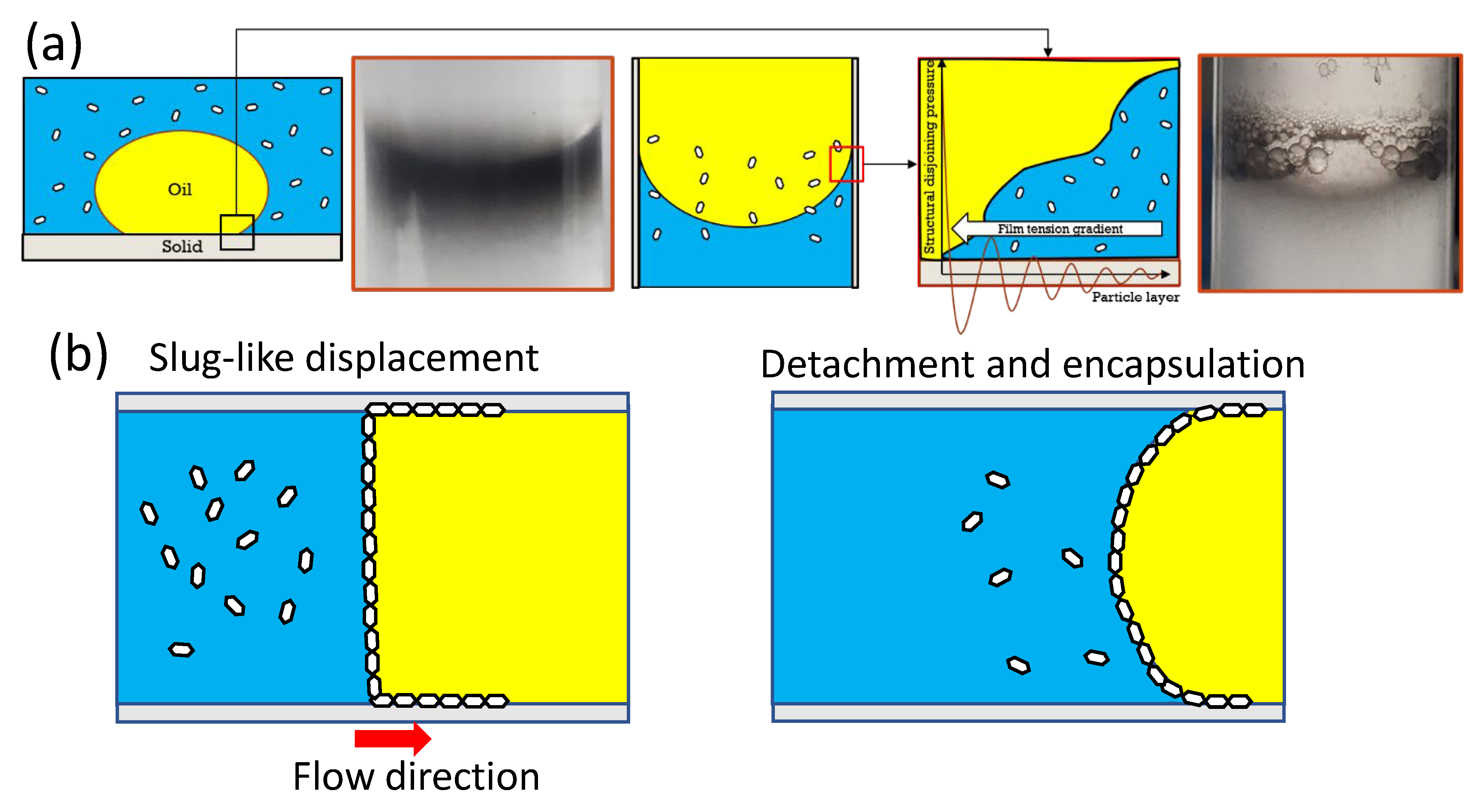 Polymers 15 02515 g013 Polymers 15 02515 g013