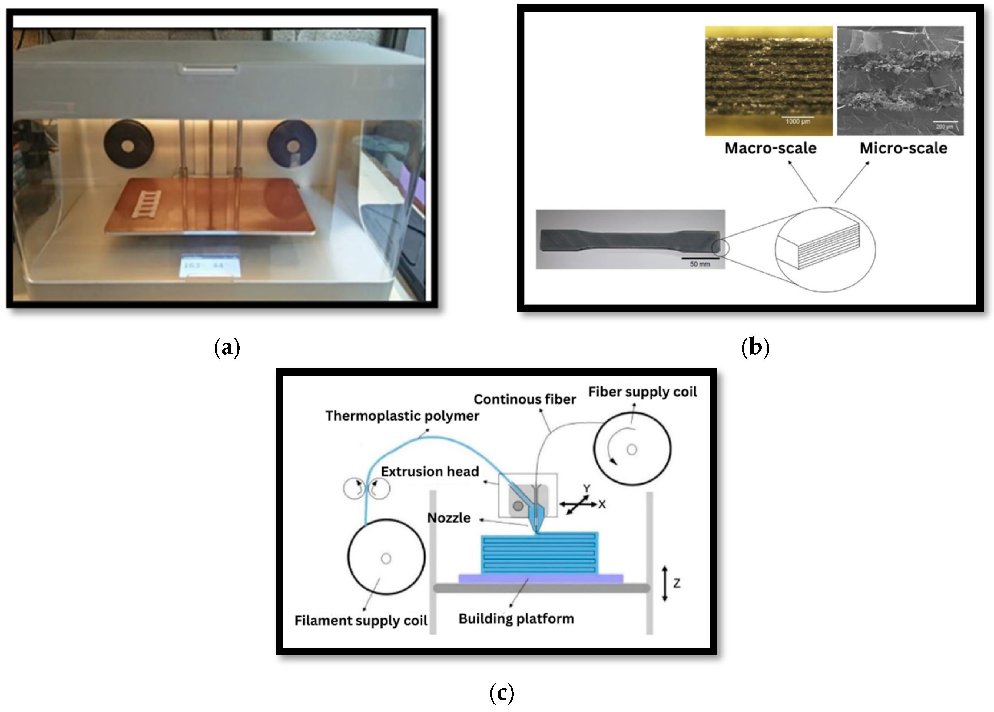 Polymers 15 02519 g004