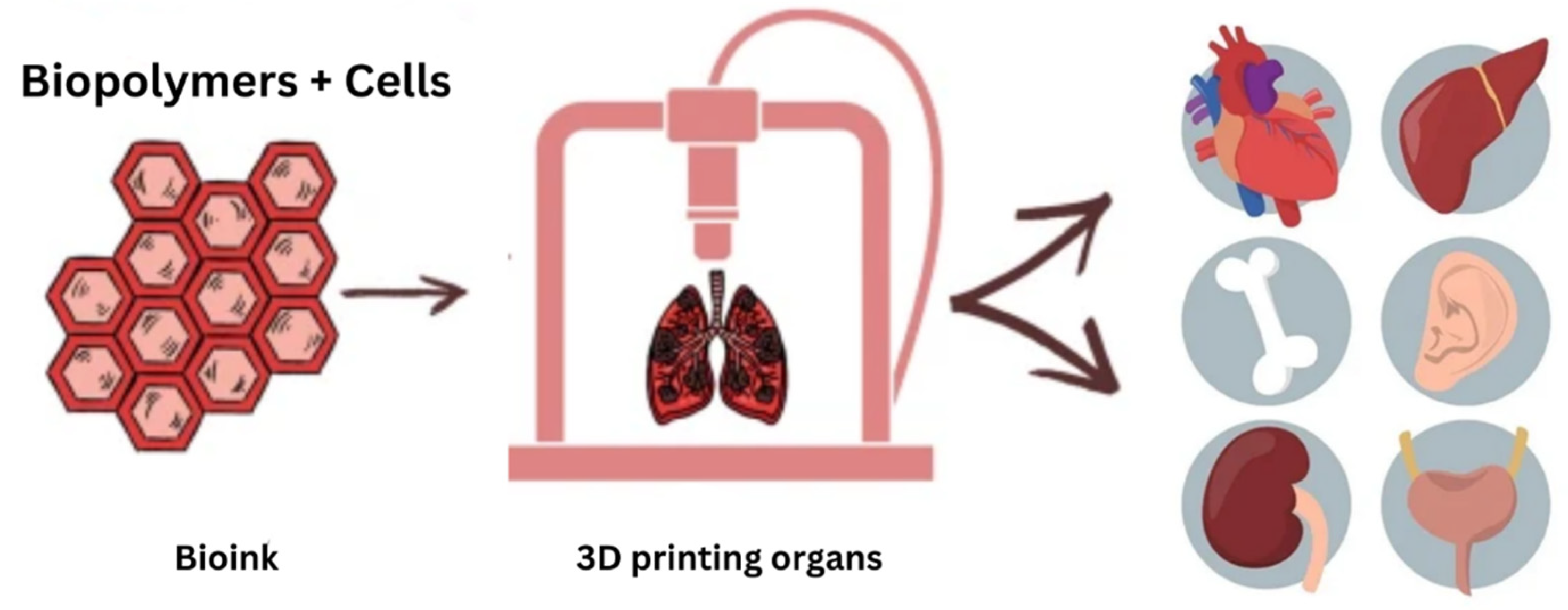 Polymers 15 02519 g005