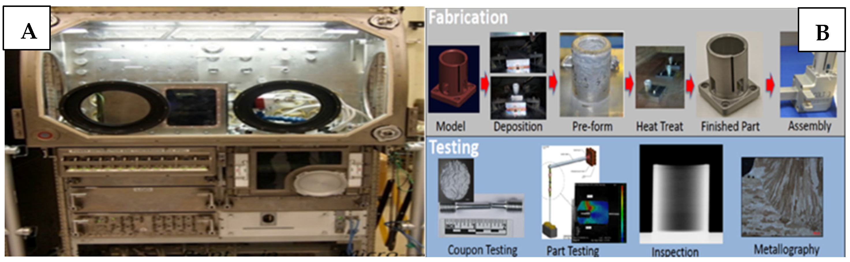 Polymers 15 02519 g007