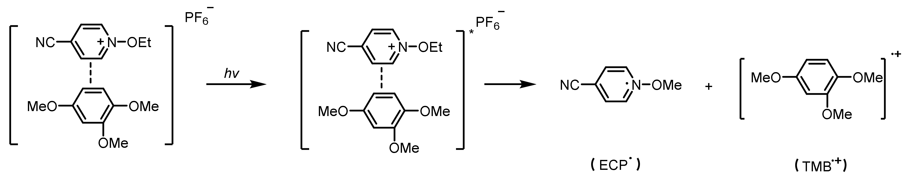 Polymers 15 02524 sch017 Polymers 15 02524 sch017