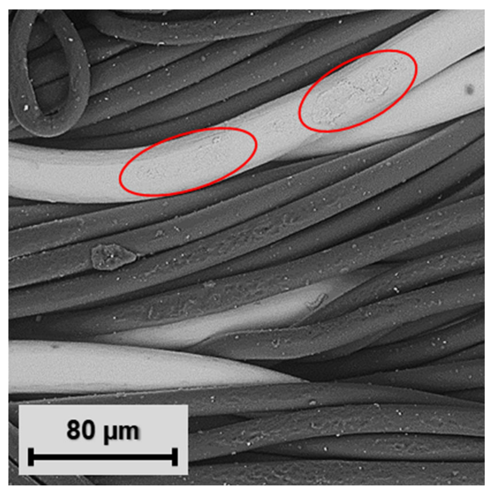 Polymers 15 02526 g014 Polymers 15 02526 g014