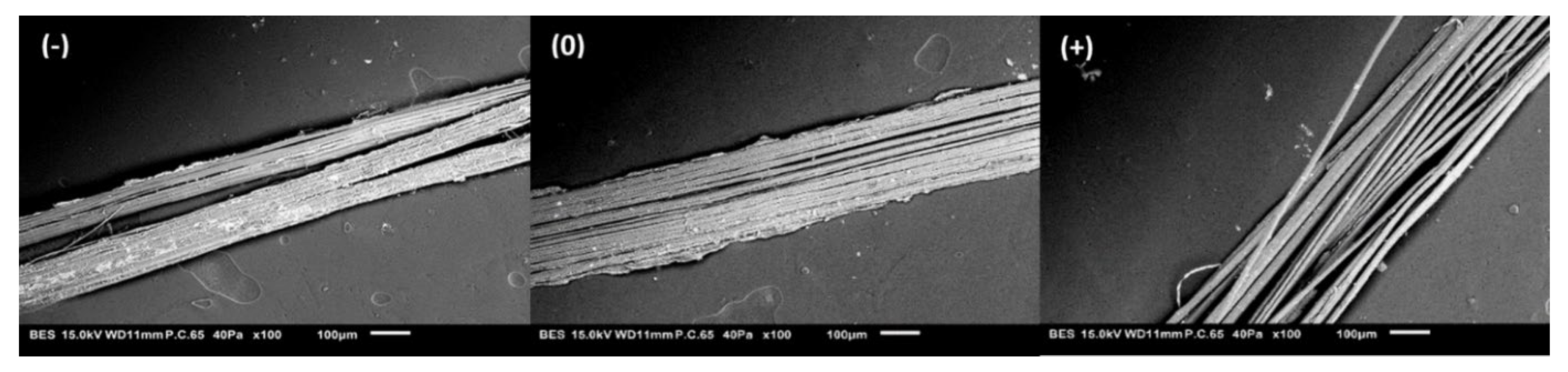 Polymers 15 02531 g004 Polymers 15 02531 g004