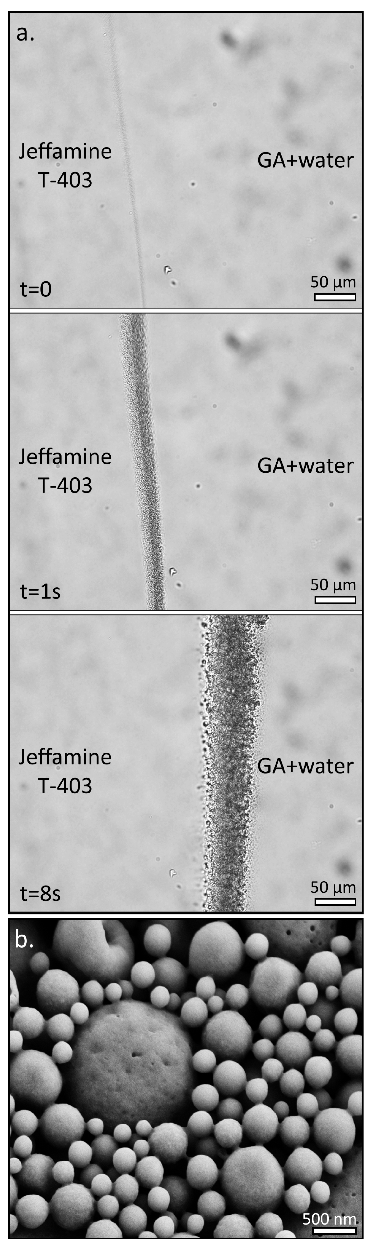 Polymers 15 02537 g001