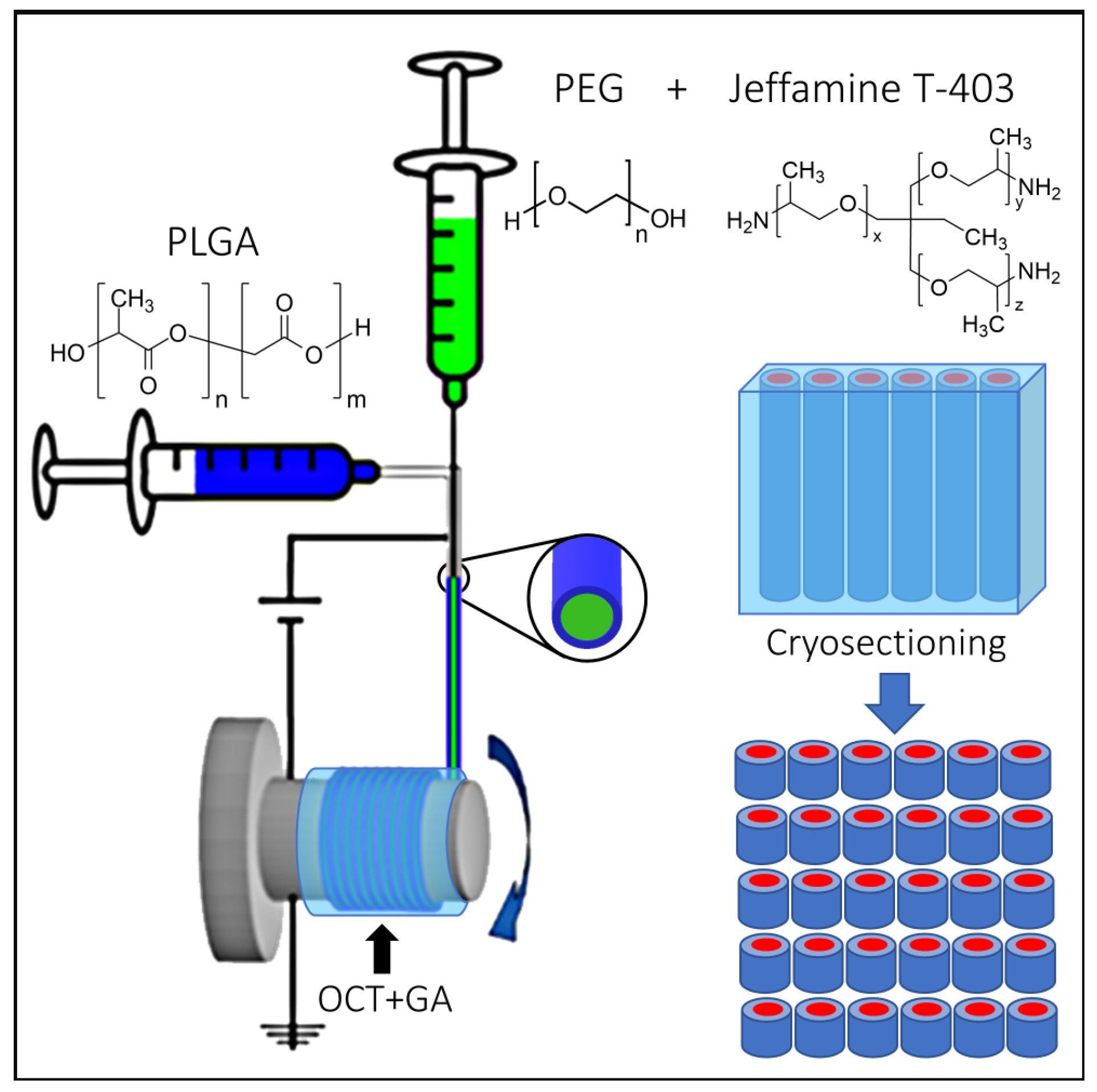 Polymers 15 02537 g002