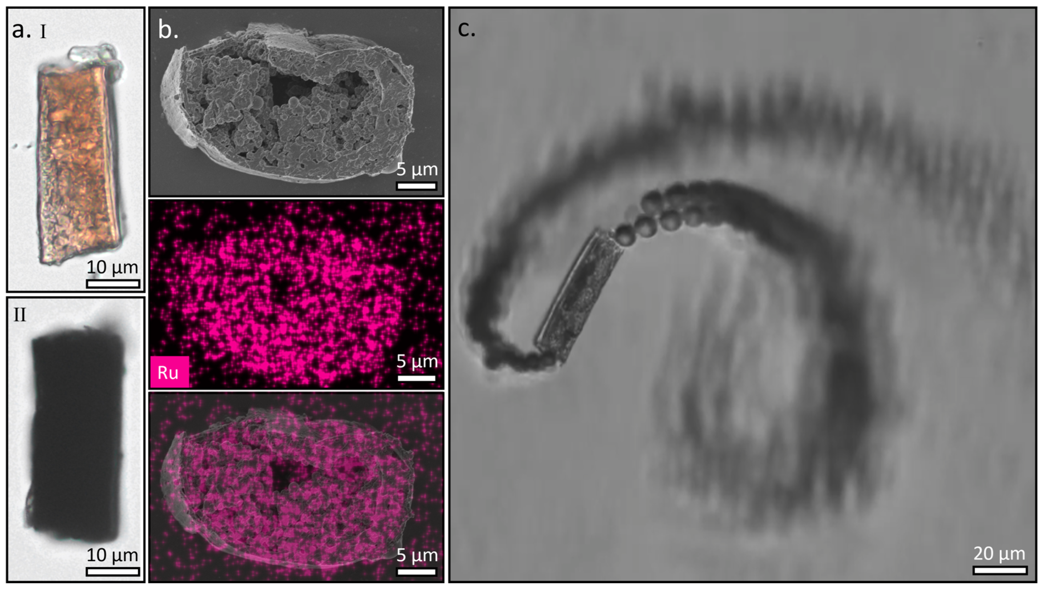Polymers 15 02537 g004