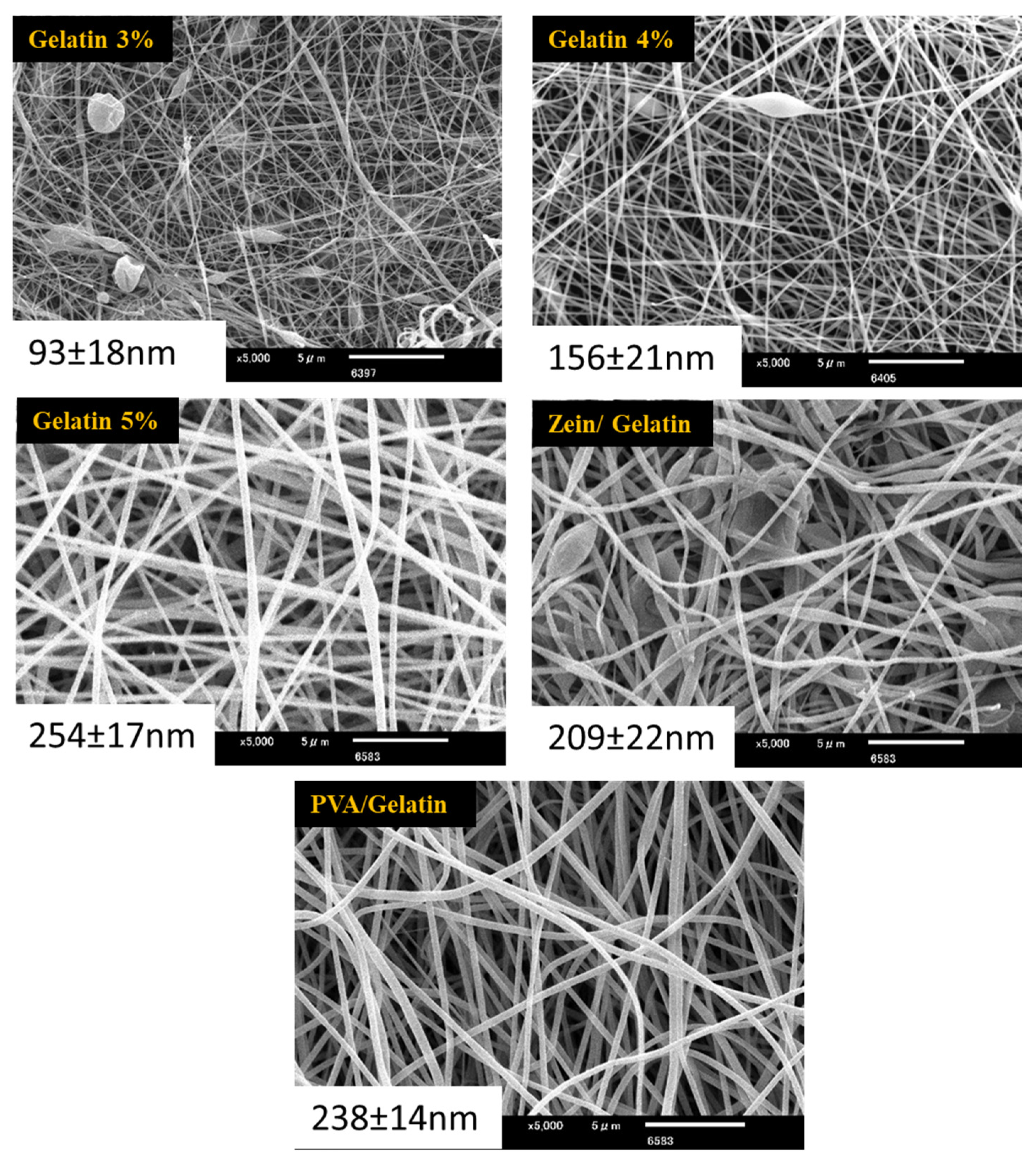 Polymers 15 02538 g001