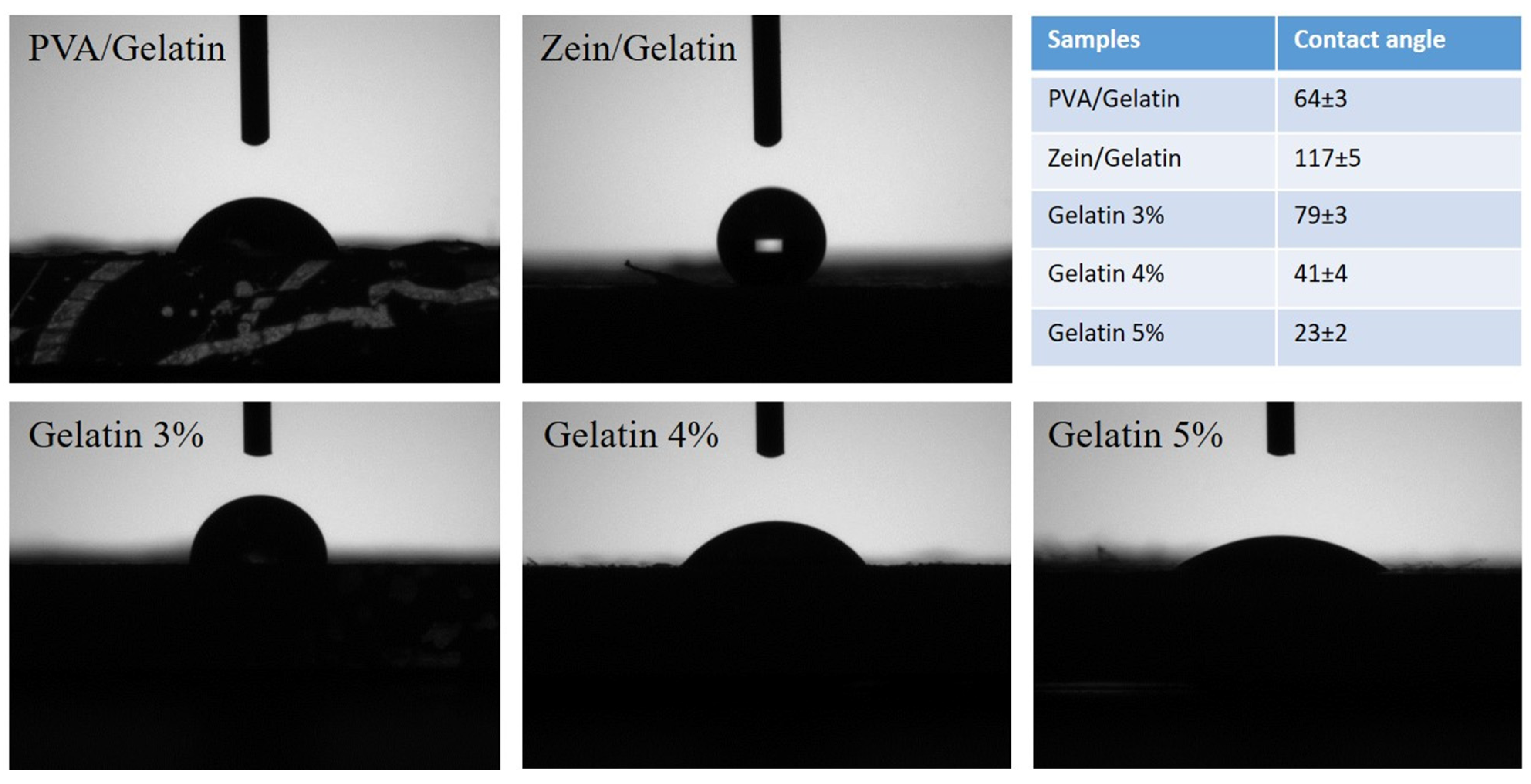 Polymers 15 02538 g007
