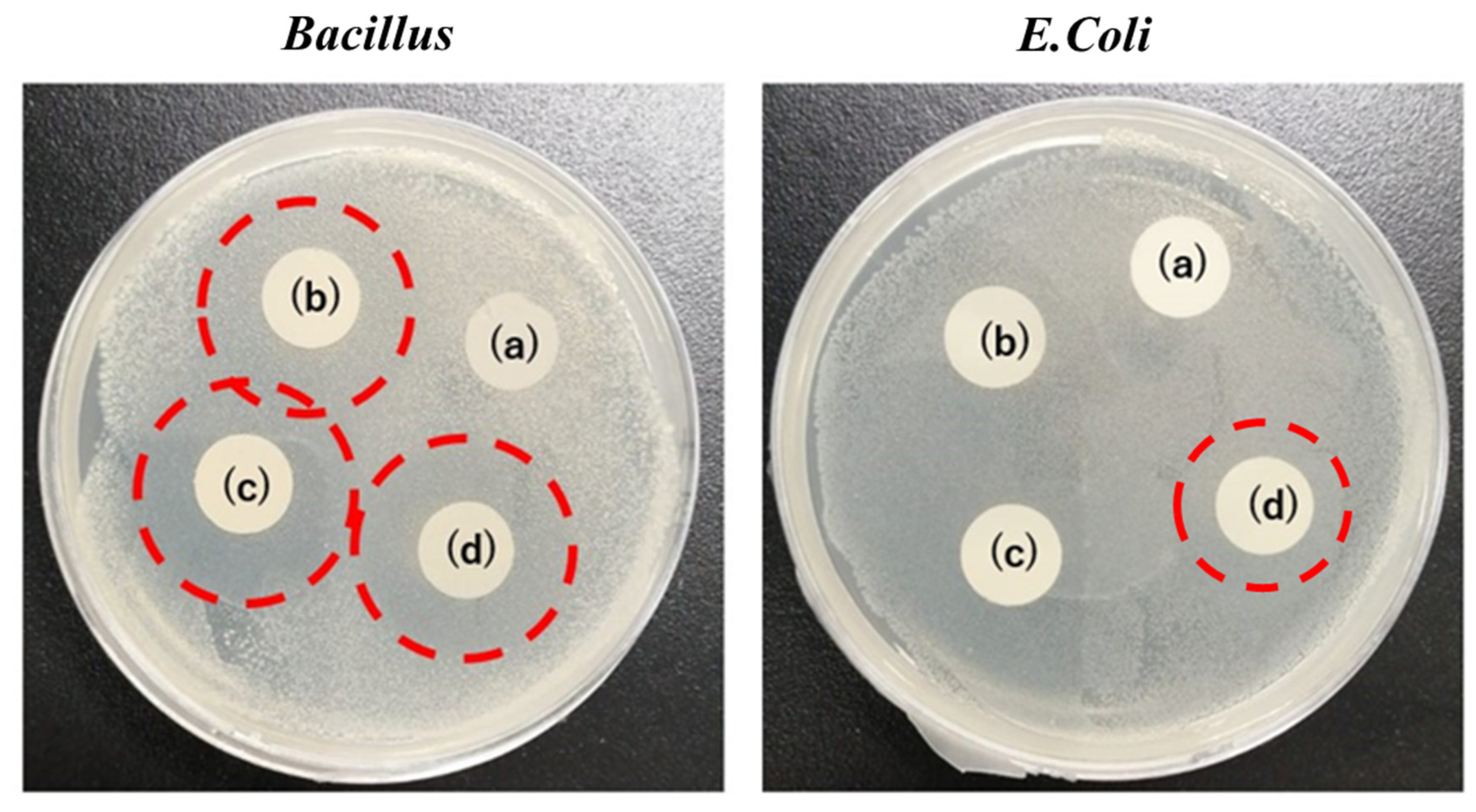Polymers 15 02538 g008