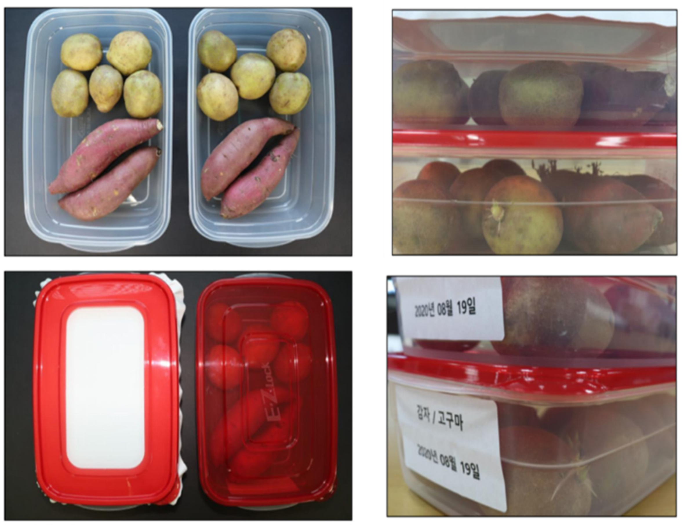 Polymers 15 02538 g009