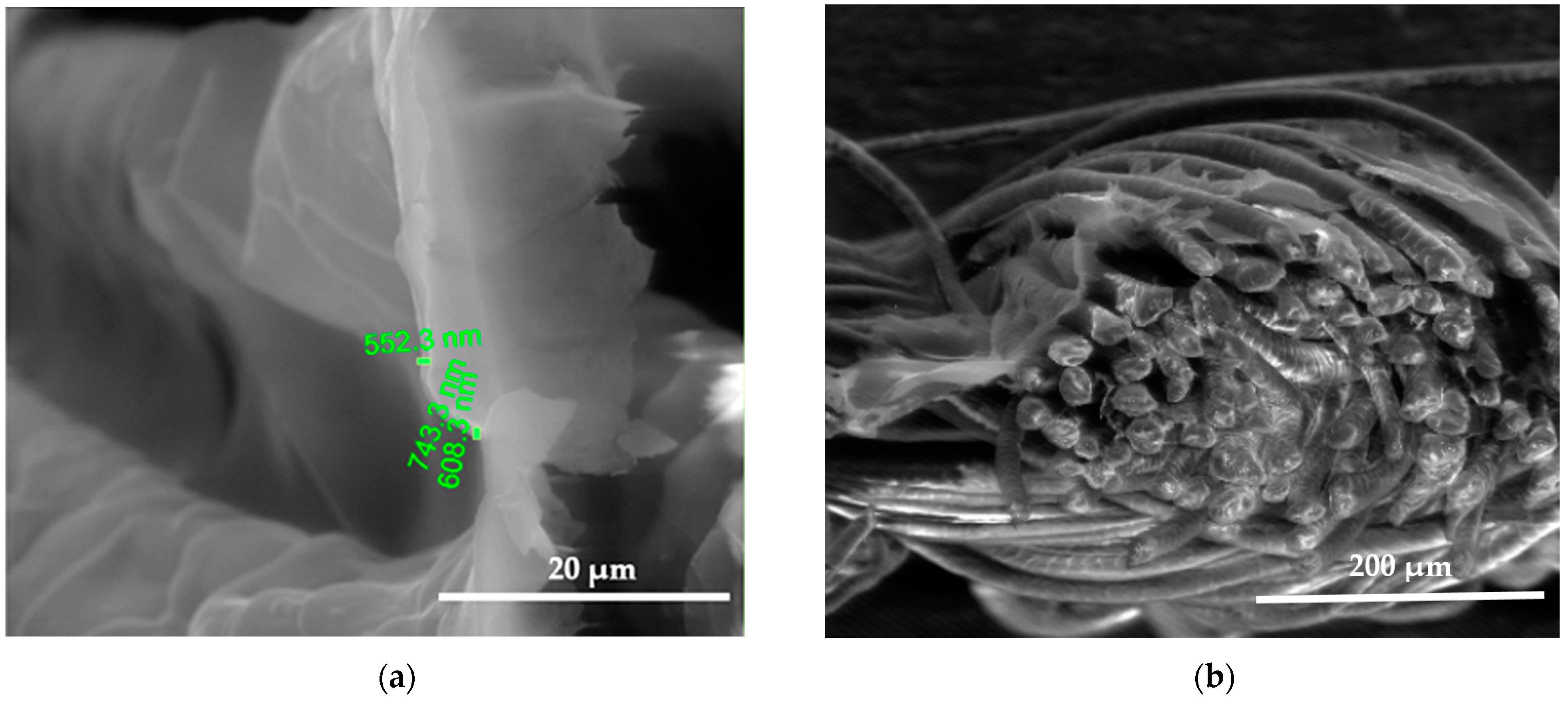 Polymers 15 02539 g007 Polymers 15 02539 g007