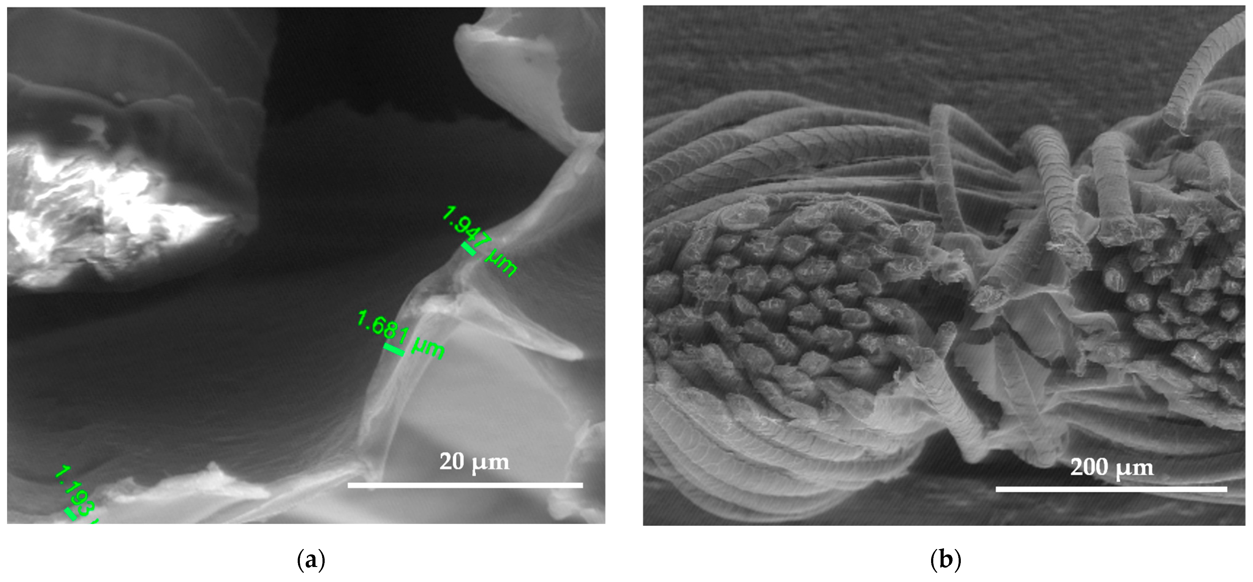 Polymers 15 02539 g009 Polymers 15 02539 g009