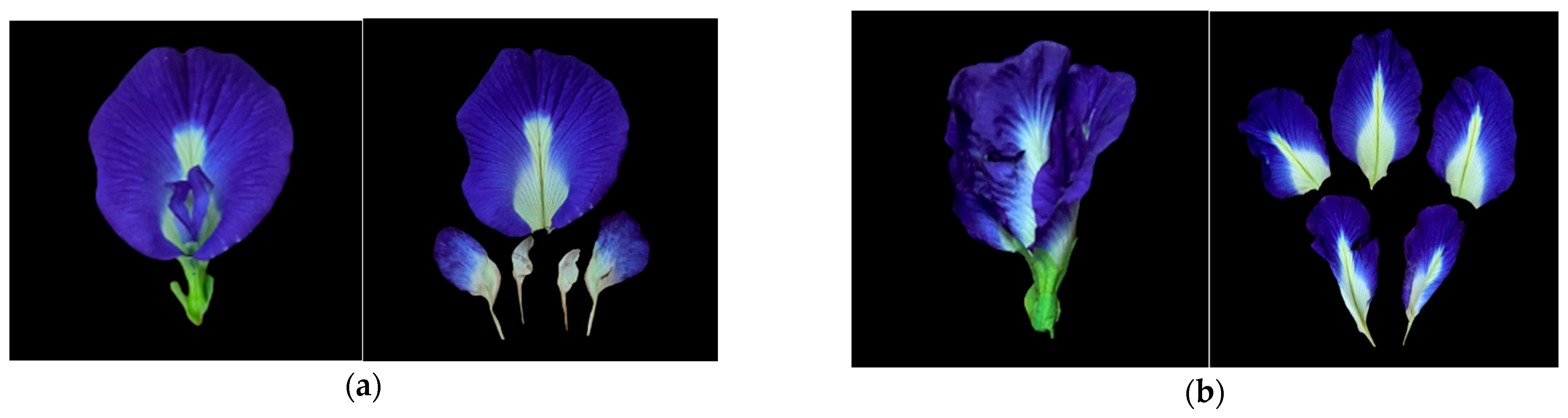 Polymers 15 02541 g002