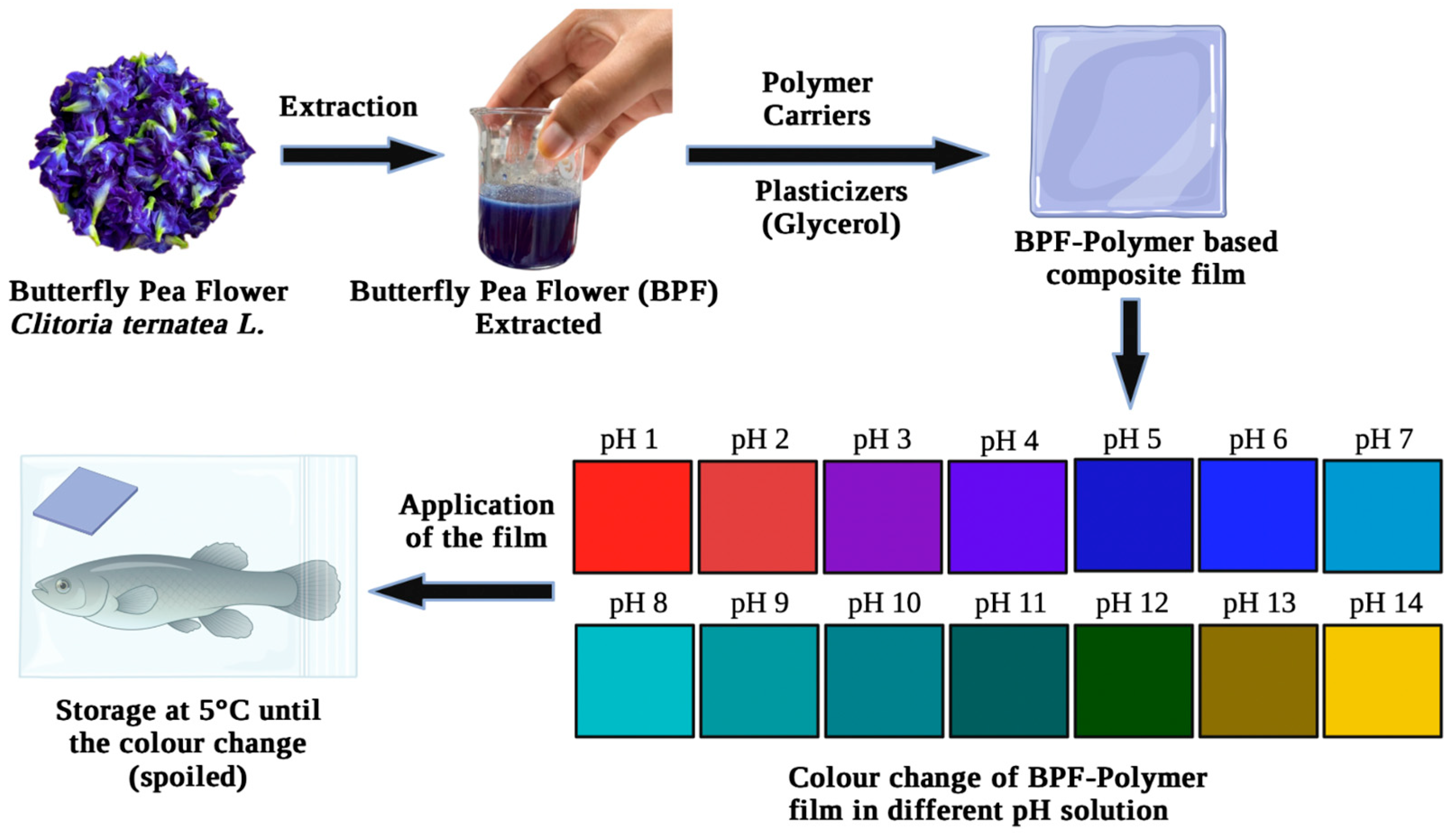 Polymers 15 02541 g005