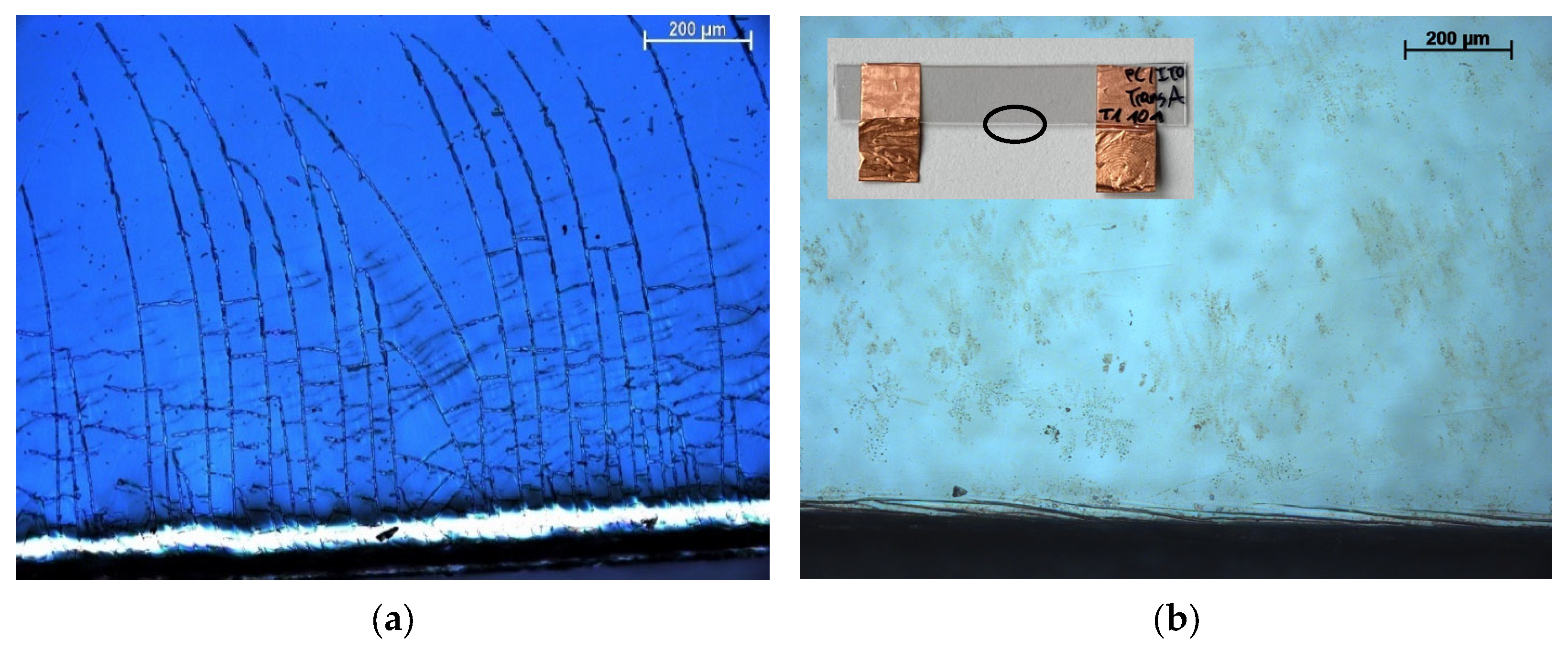 Polymers 15 02543 g005