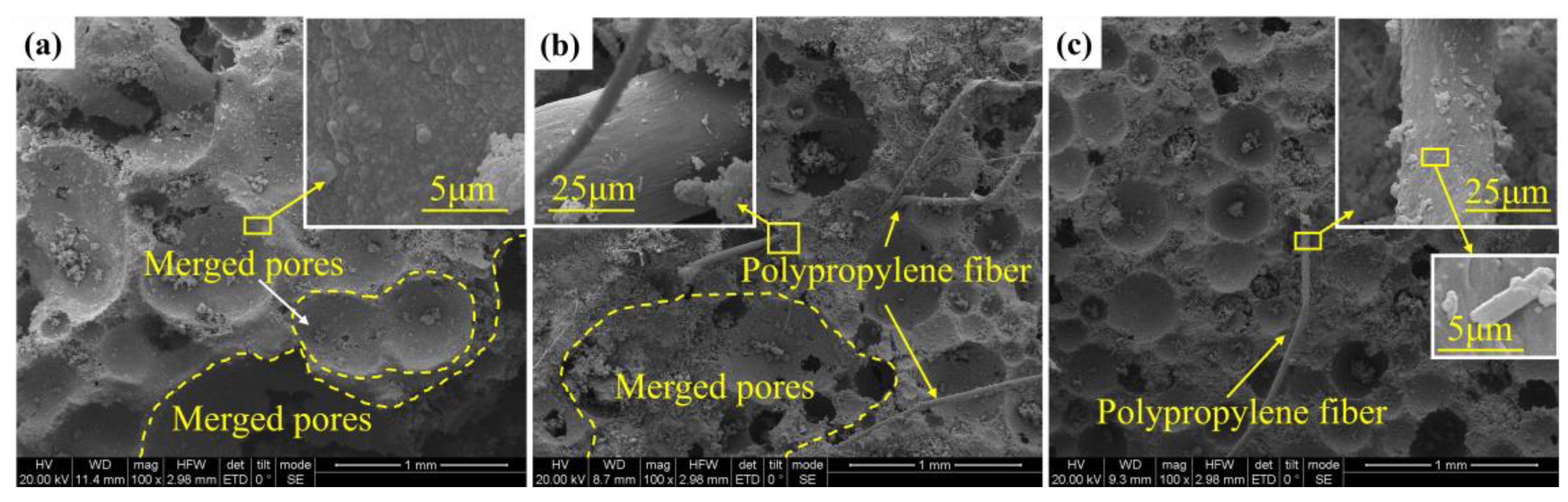 Polymers 15 02544 g005