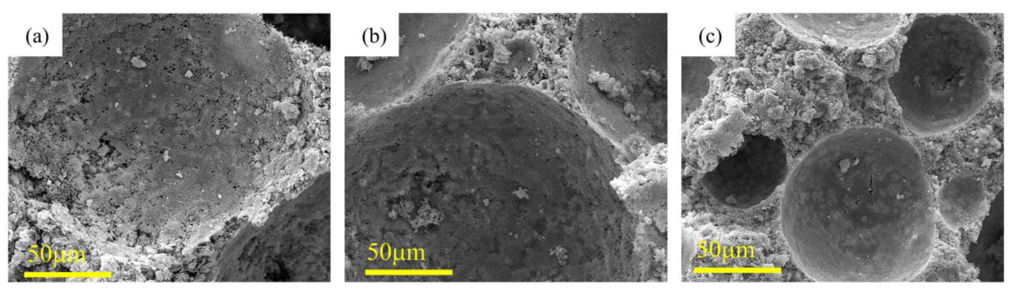 Polymers 15 02544 g006