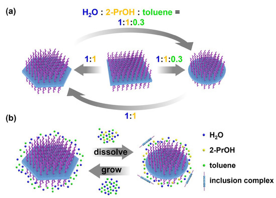 Assembly of Supramolecular Nanoplatelets with Tailorable Geometrical ...